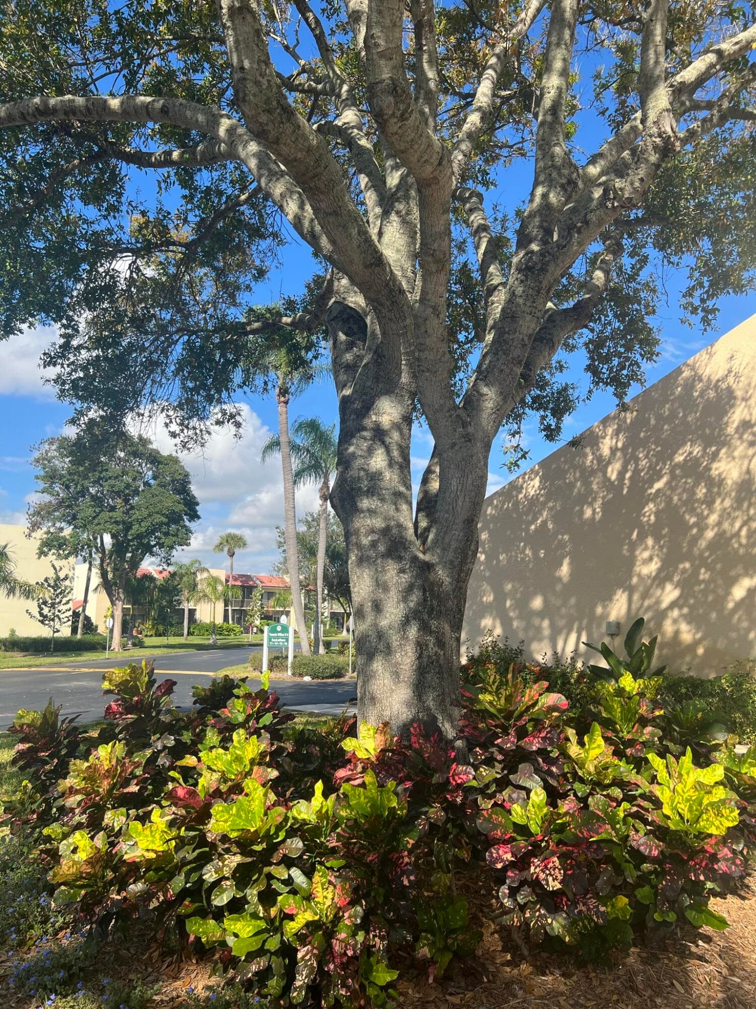 1605 S Us Highway 1 201m2, Jupiter, FL 33477 36