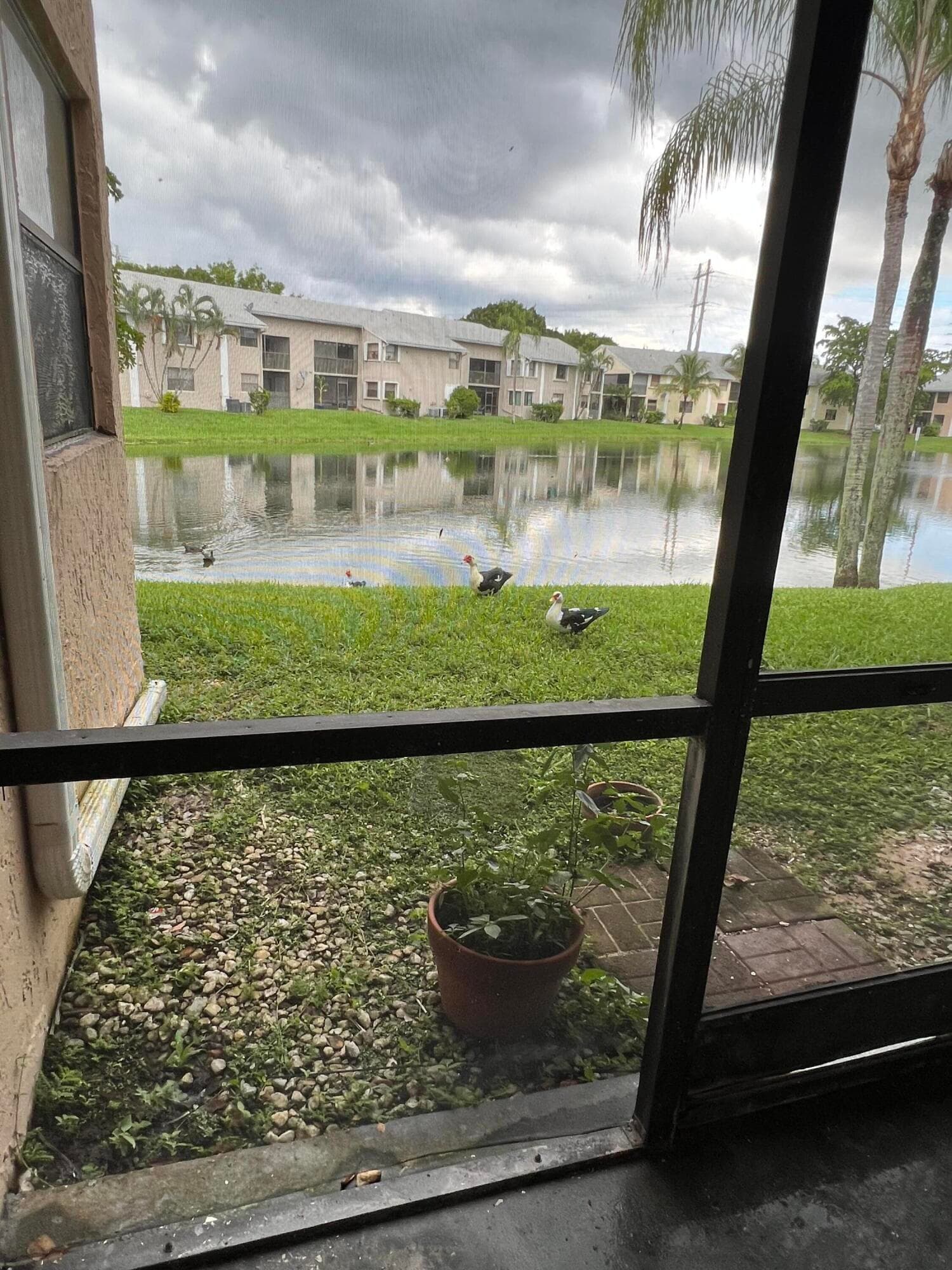 1021 Adams Avenue 1021f, Homestead, FL 33034 19