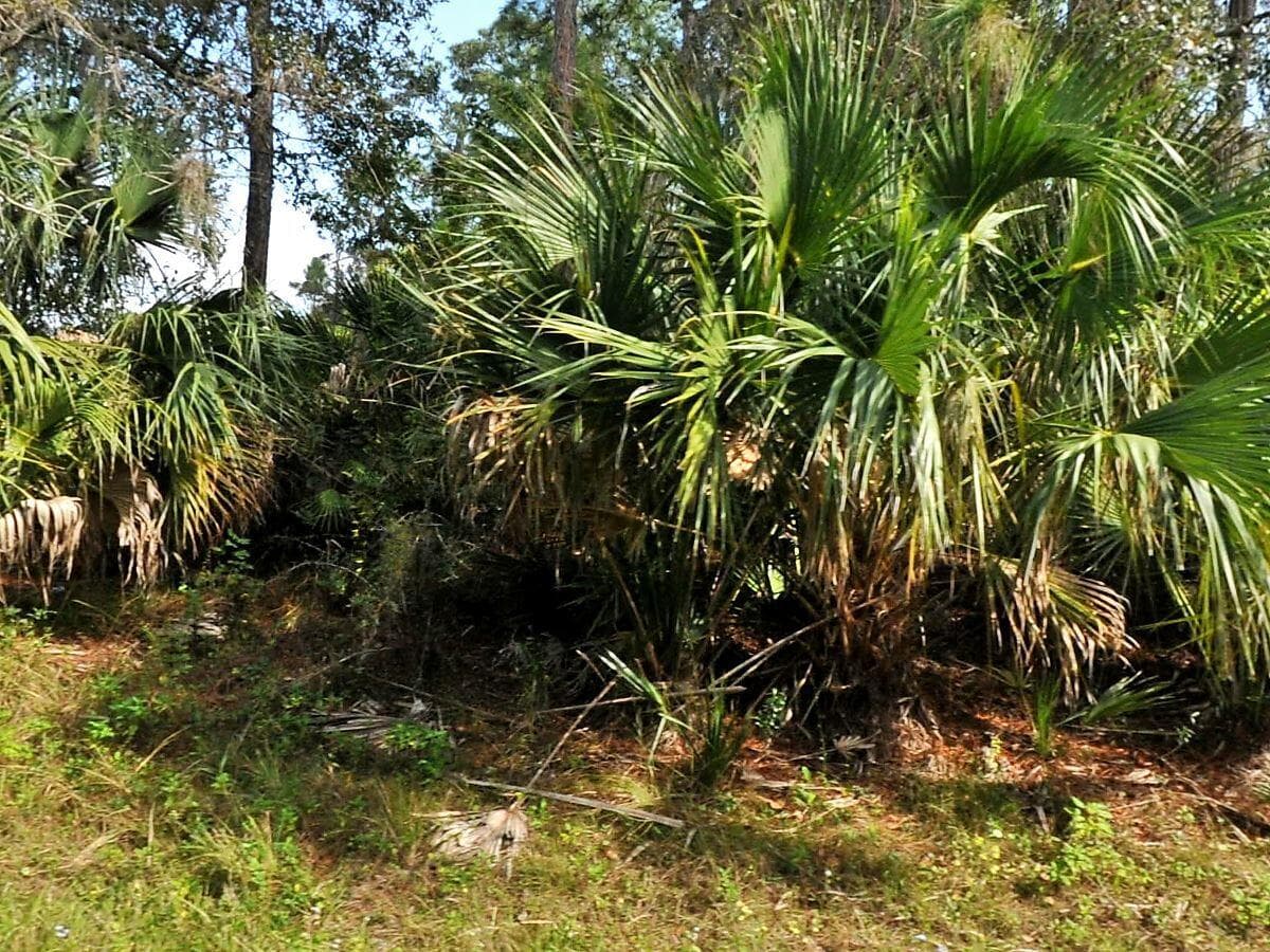 Tbd Abbington Street, North Port, FL 34286