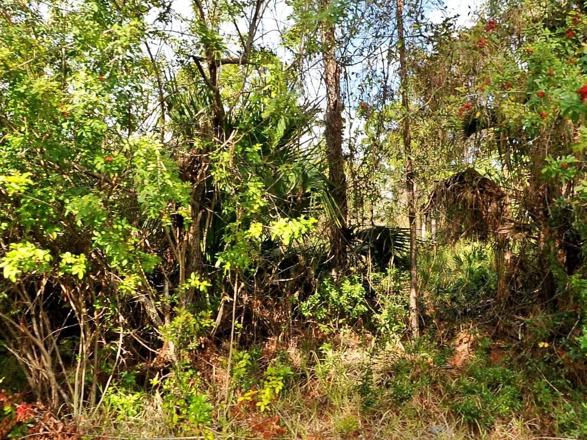 0 Haffenberg Ave Avenue, North Port, FL 34288