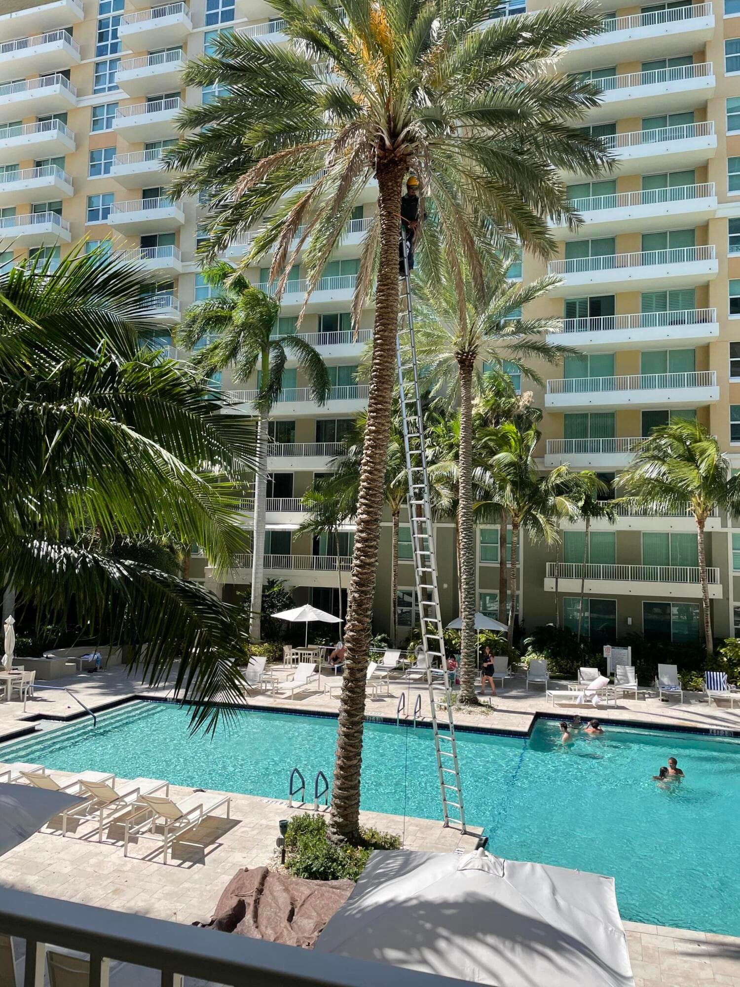 100 NE 6th Street 605, Boynton Beach, FL 33435 9
