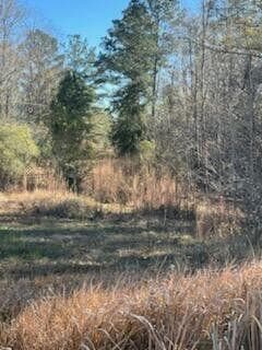 5123 Elmore Road, Marianna, FL 32446 9
