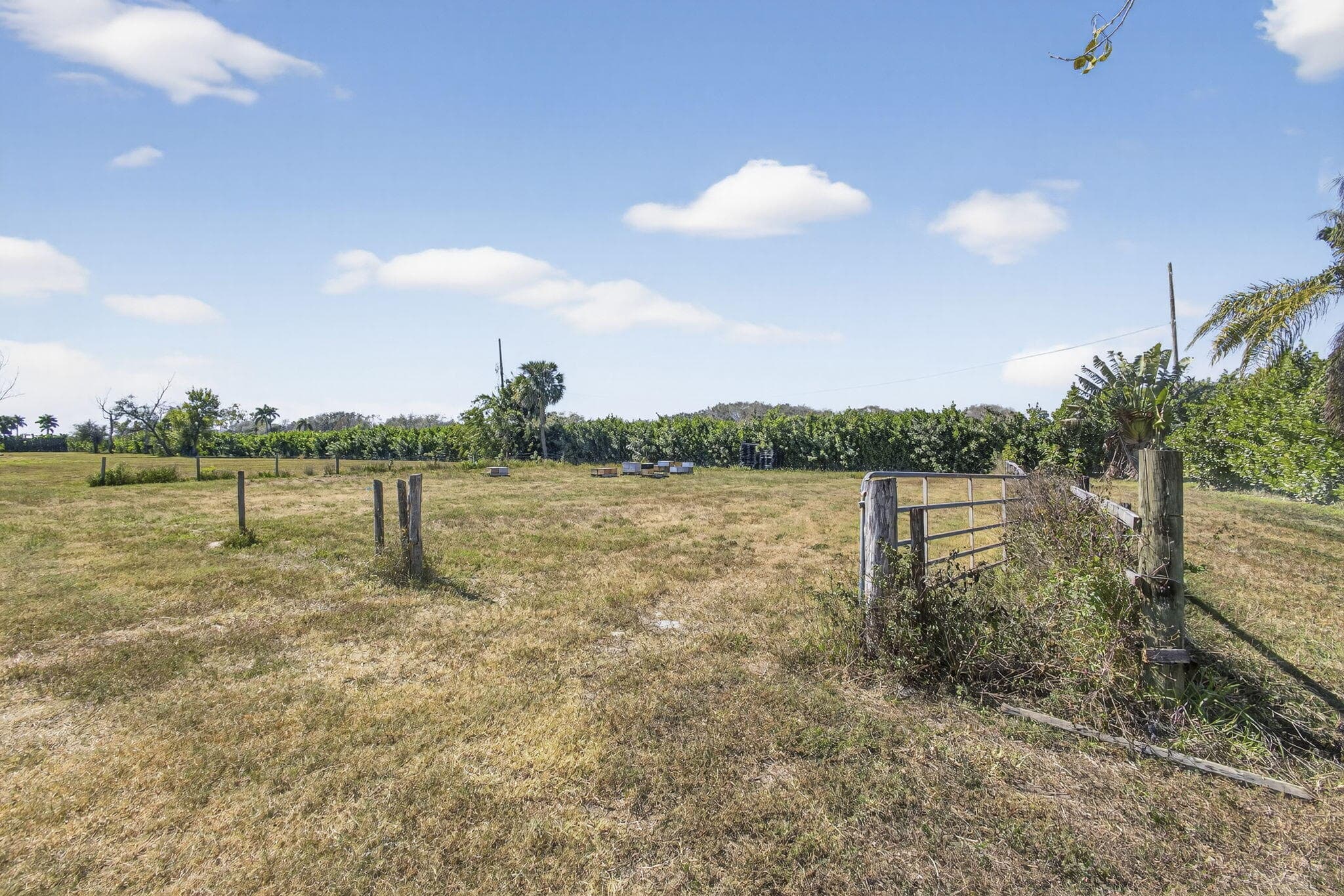 16296 Deer Path Lane, Wellington, FL 33470 10