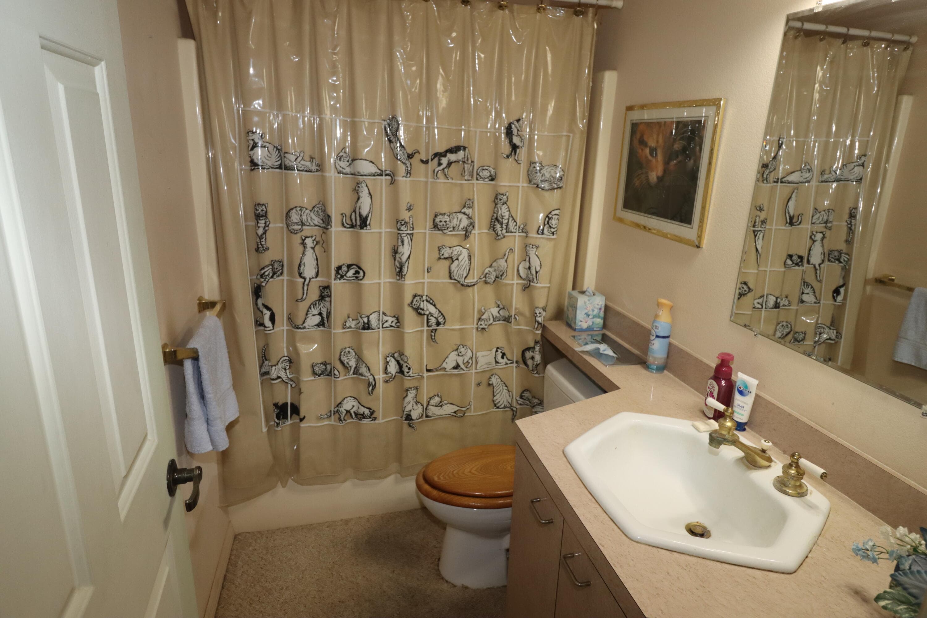 13578 SW 144th Parkway, Okeechobee, FL 34974 17