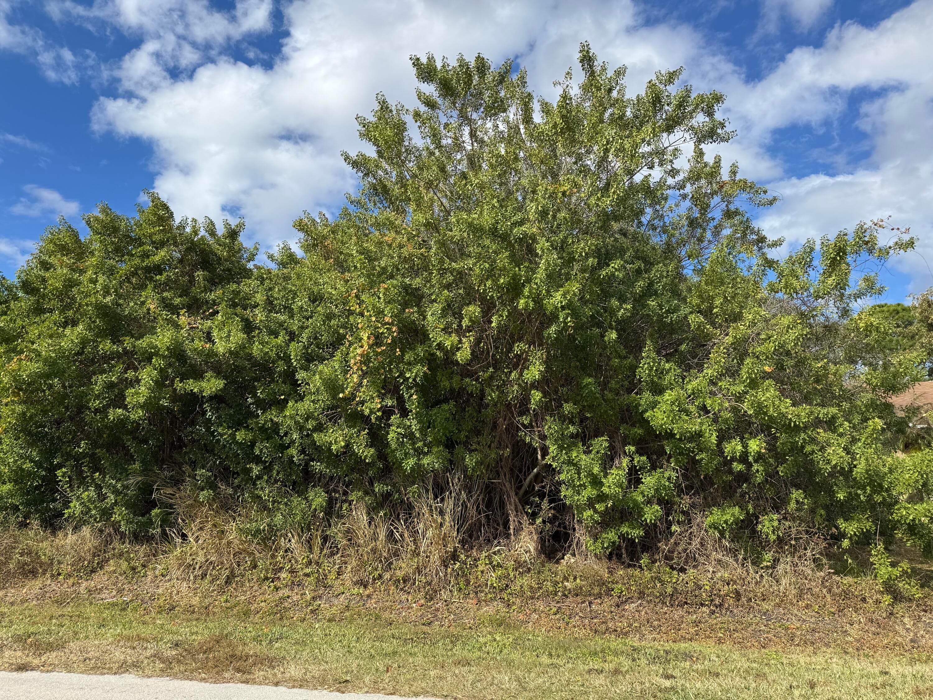 163 NE Twylite Terrace, Port St. Lucie, FL 34983 2