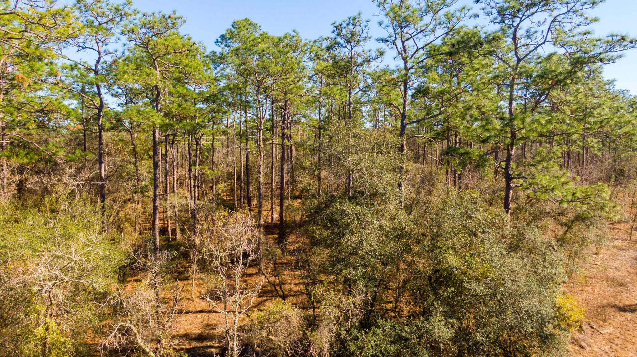 0000 SW Commodore Road, Dunnellon, FL 34431 4