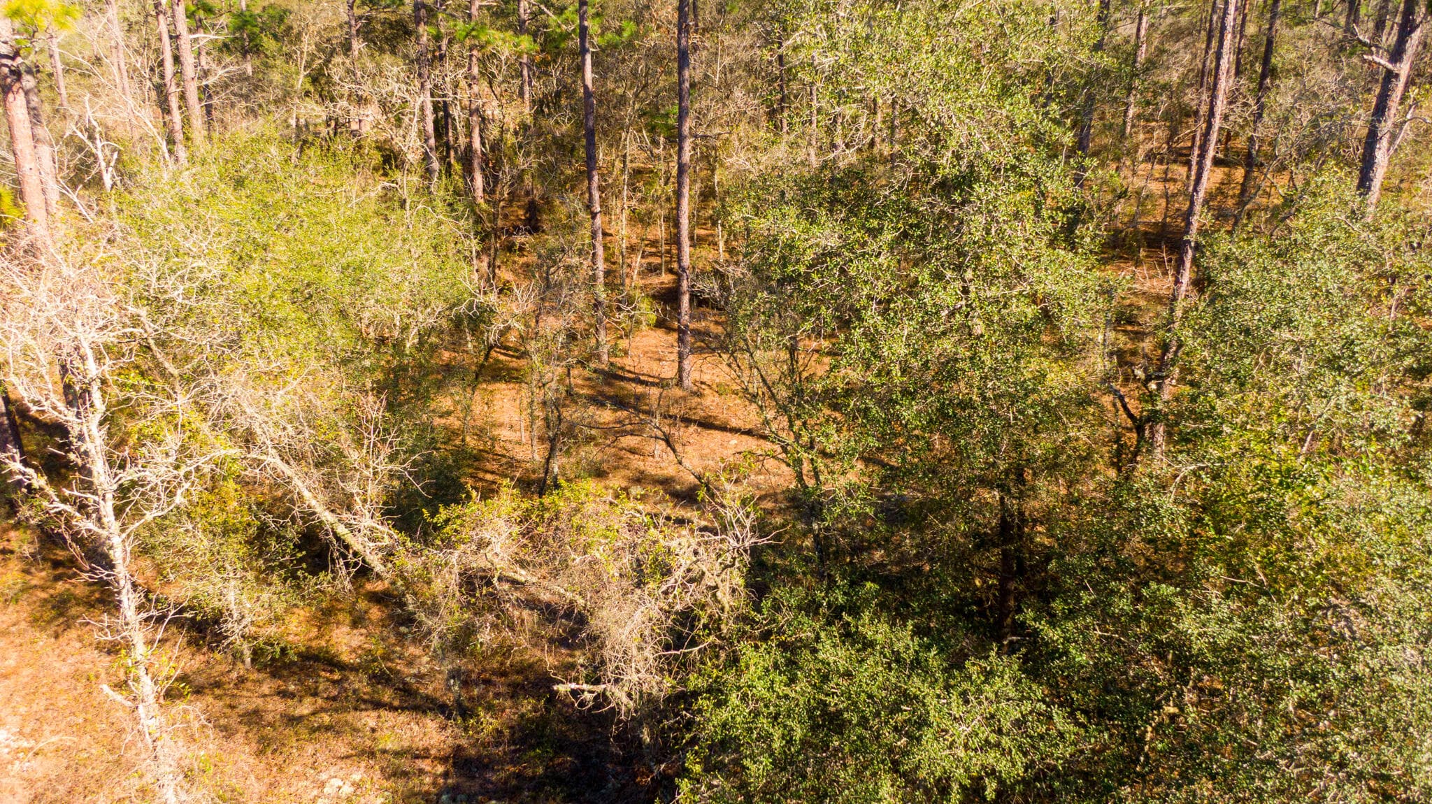 0000 SW Commodore Road, Dunnellon, FL 34431 3