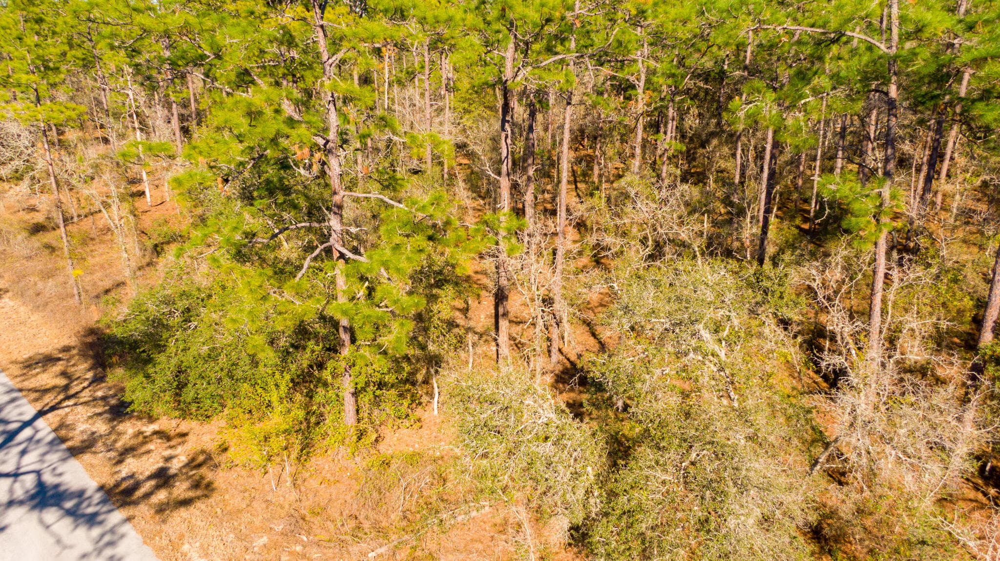 0000 SW Commodore Road, Dunnellon, FL 34431 5