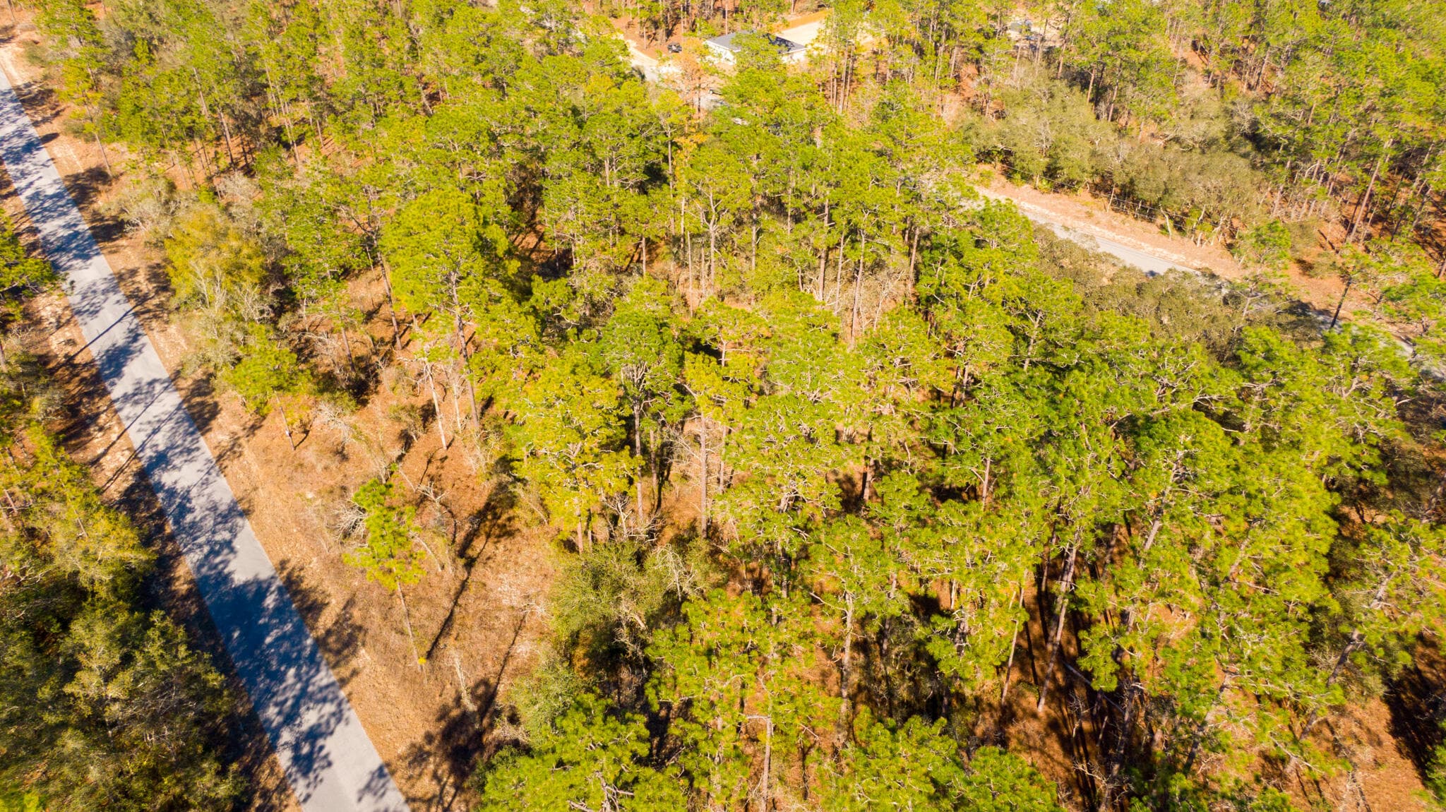 0000 SW Commodore Road, Dunnellon, FL 34431 7