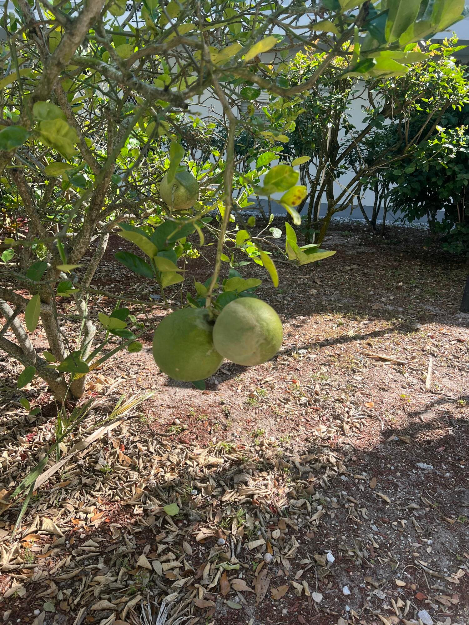 2302 Sunrise 3-201, Fort Pierce, FL 34949 4