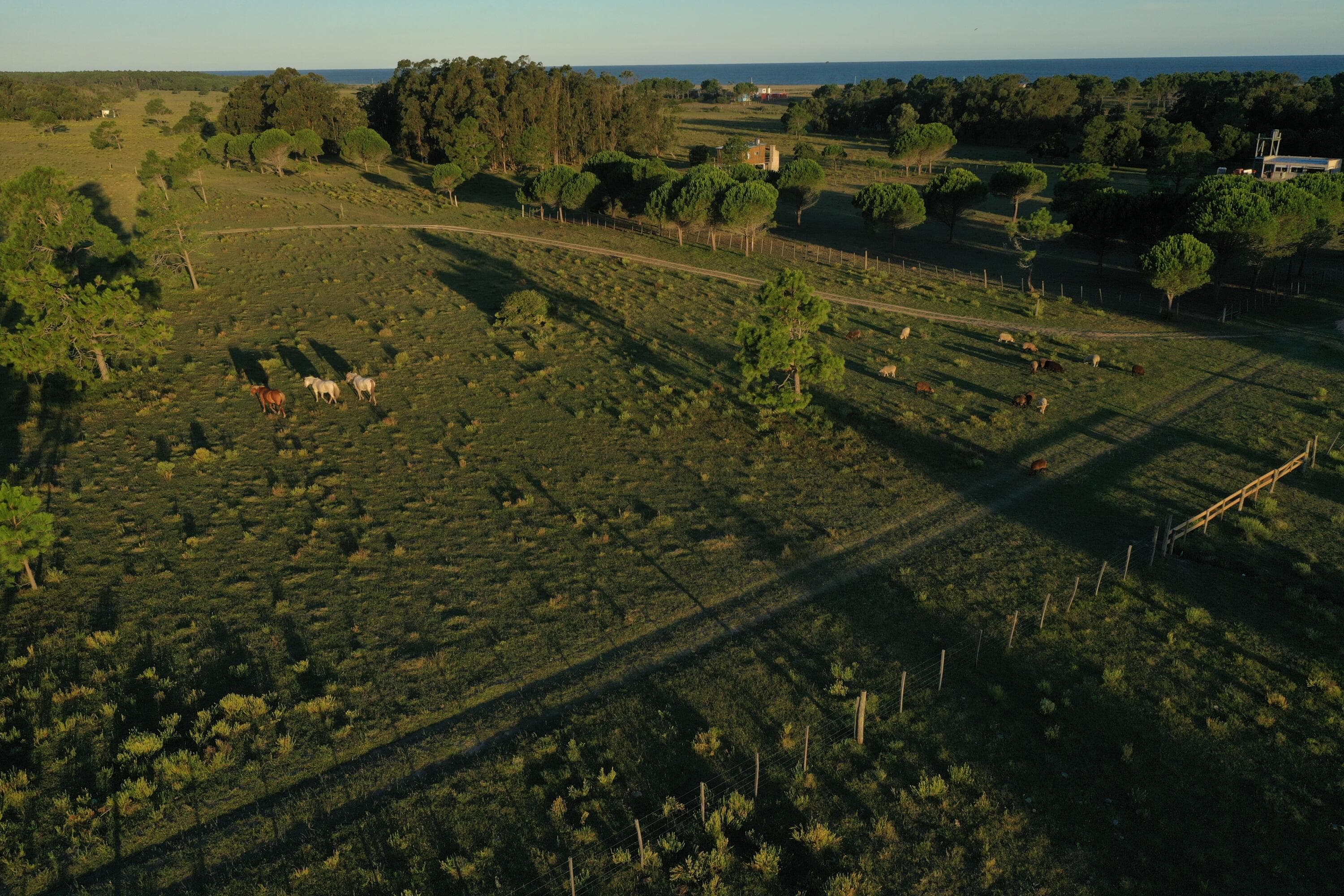 54209 Punta Del Diablo 22