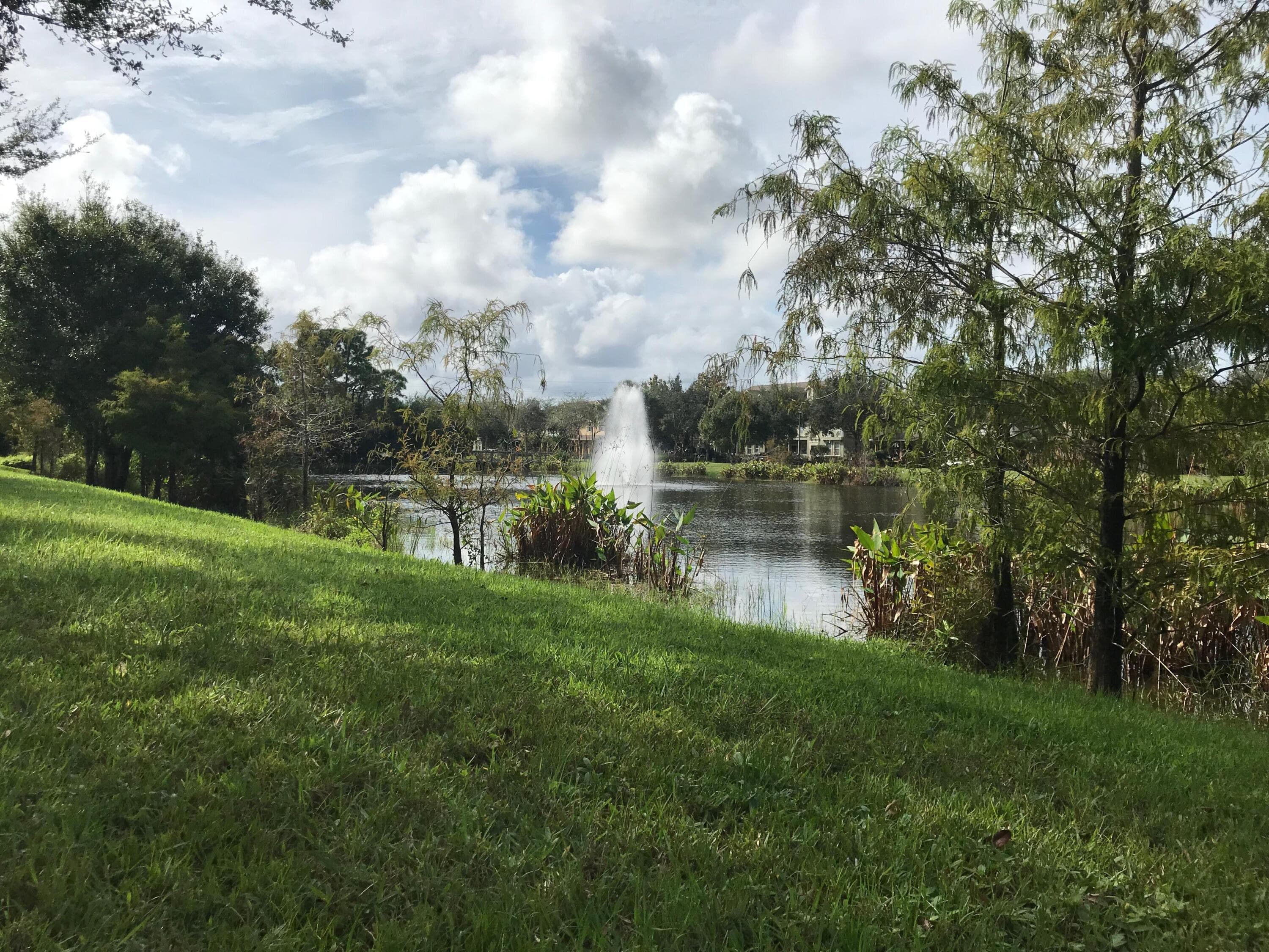 141 E Thatch Palm Circle, Jupiter, FL 33458 4
