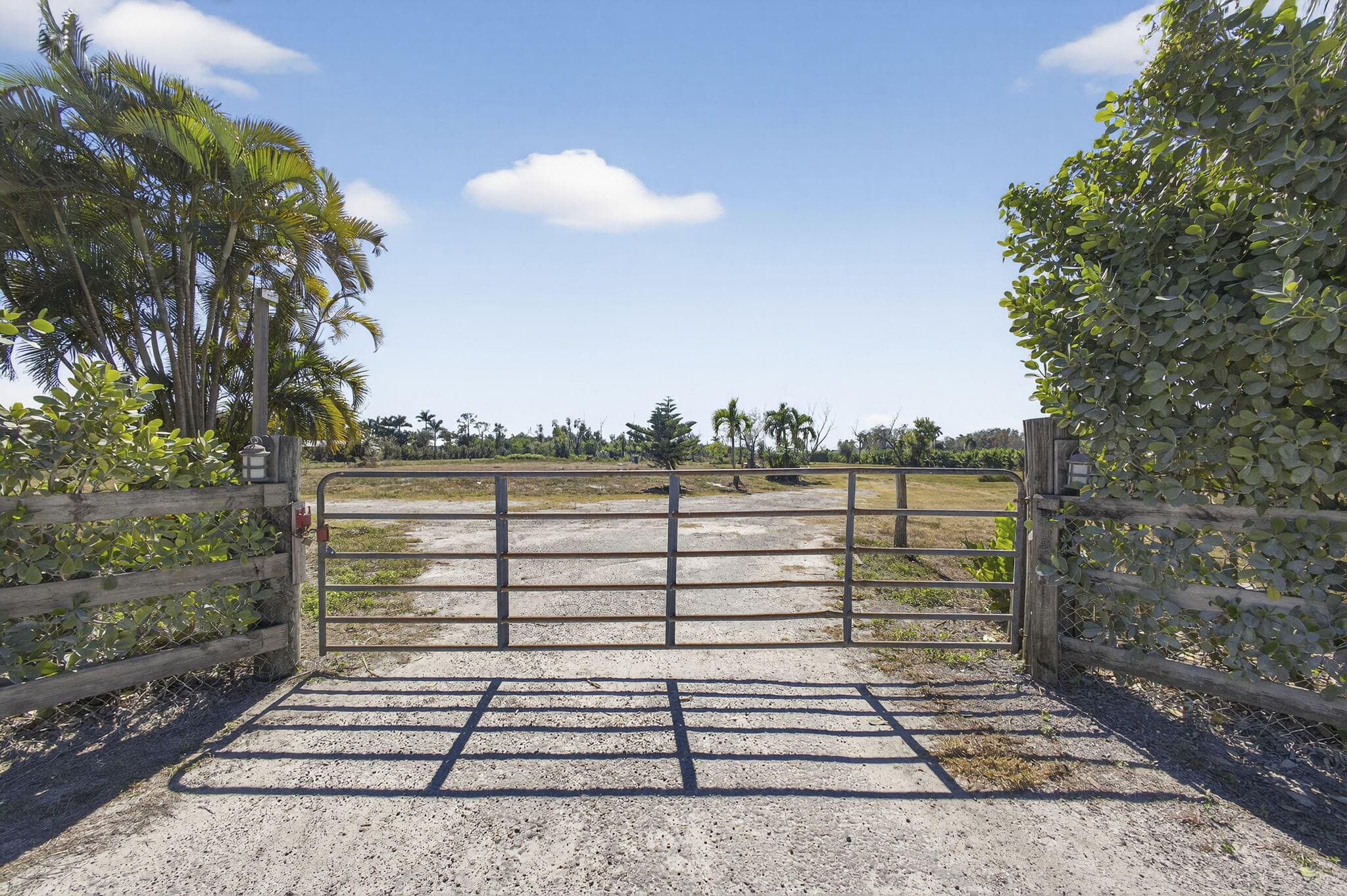 16296 Deer Path Lane, Wellington, FL 33470 4