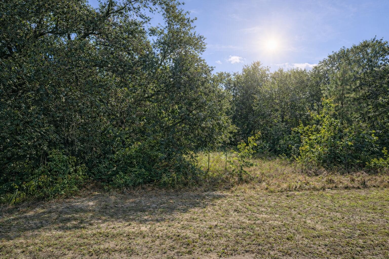 4375 SW 194th Avenue, Dunnellon, FL 34432 3