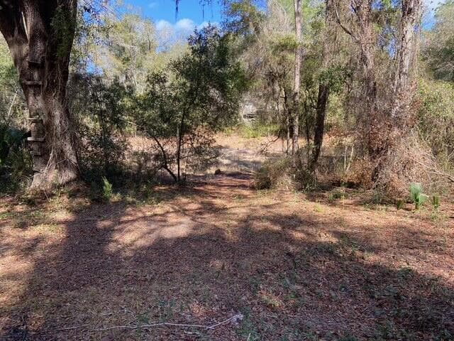15137 NE 141st Street, Fort McCoy, FL 32134 4