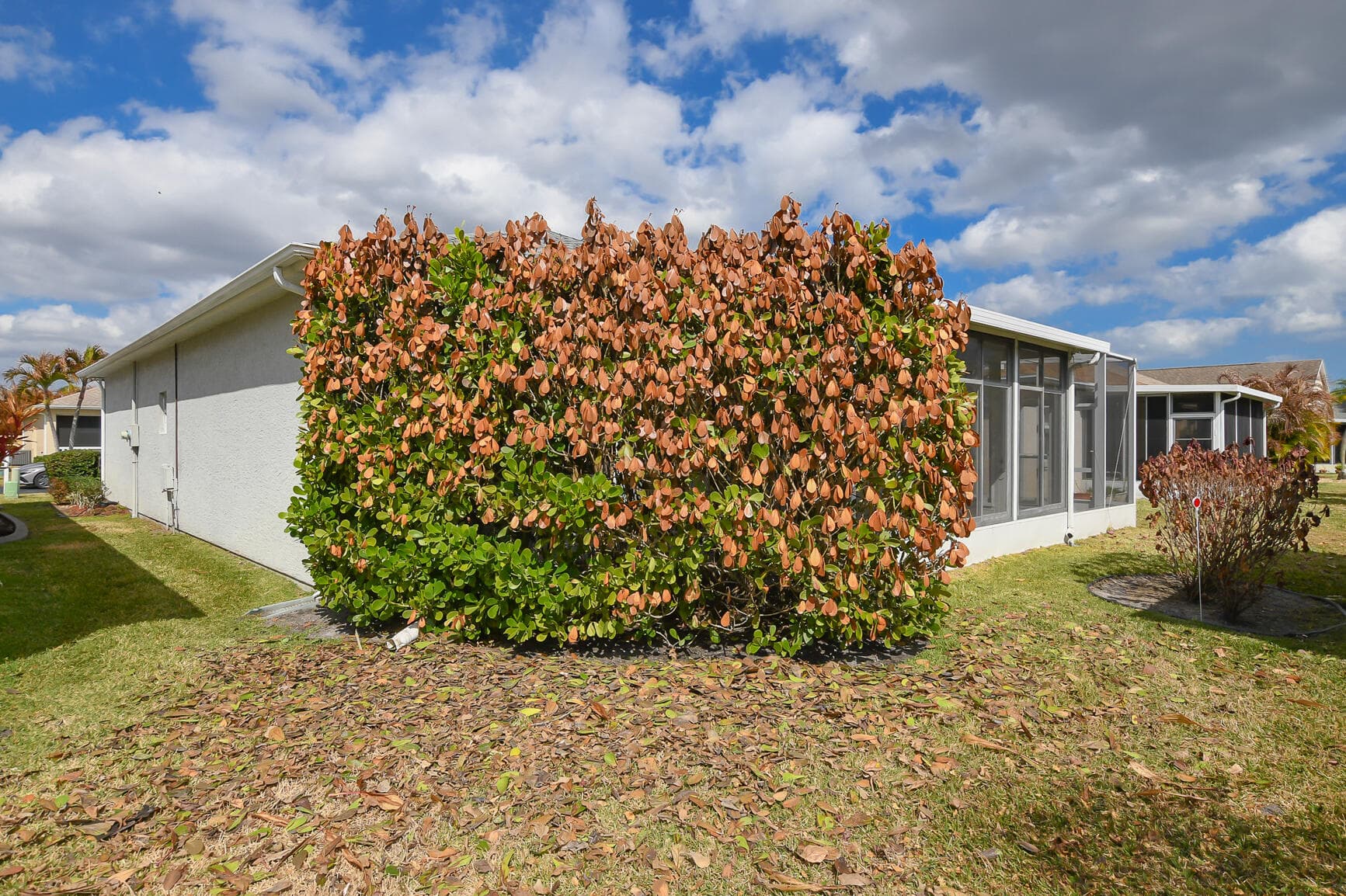 569 NW Cortina Lane, Port St. Lucie, FL 34986 53