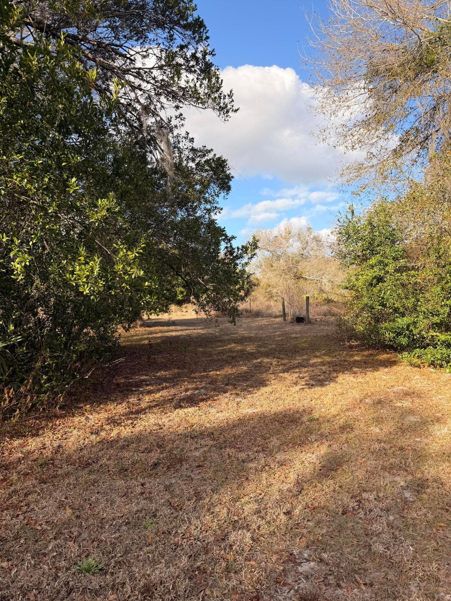 1907 NE 308th Street, Okeechobee, FL 34972 8