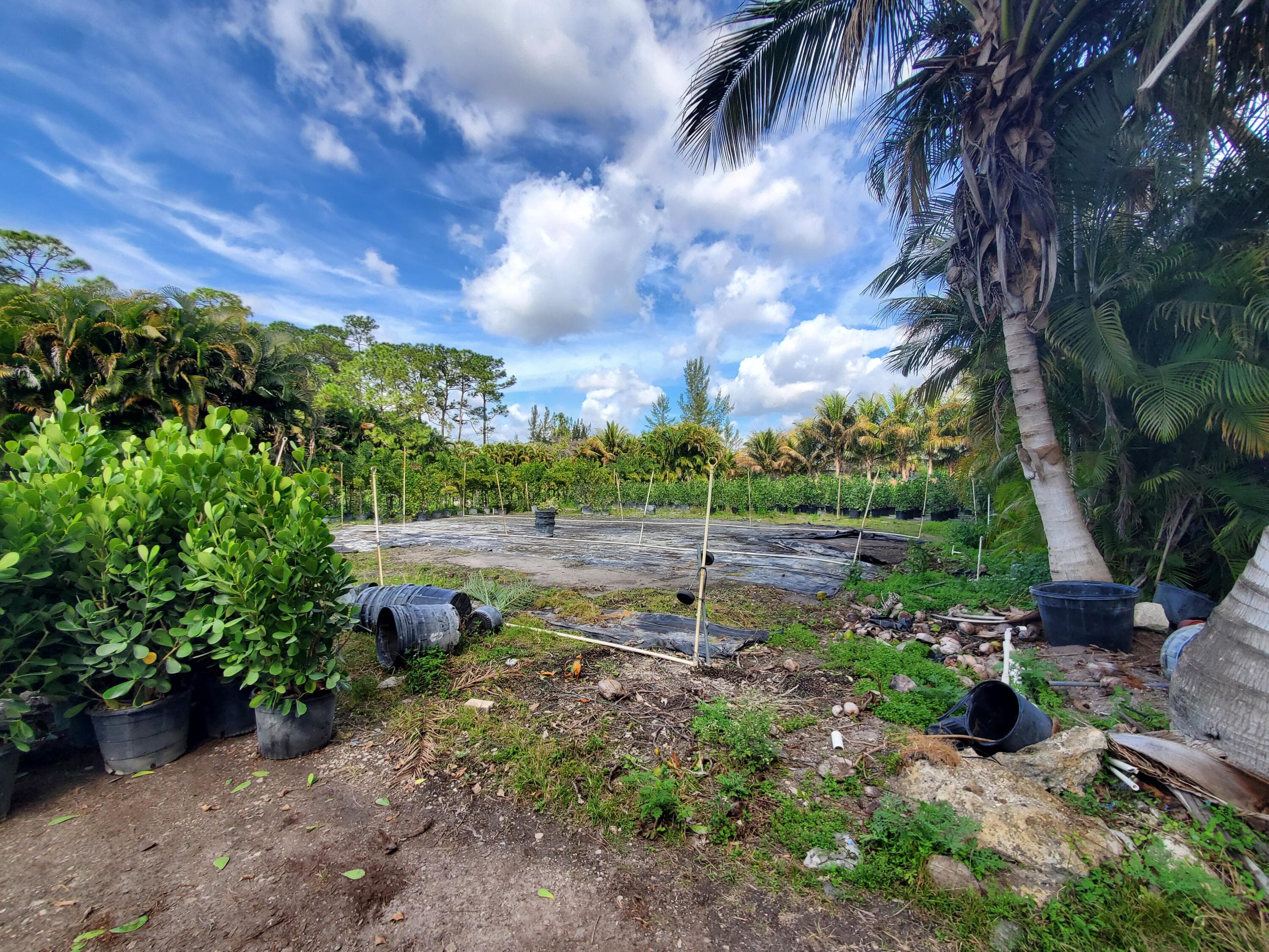 10655 61st Street S, Wellington, FL 33449 9