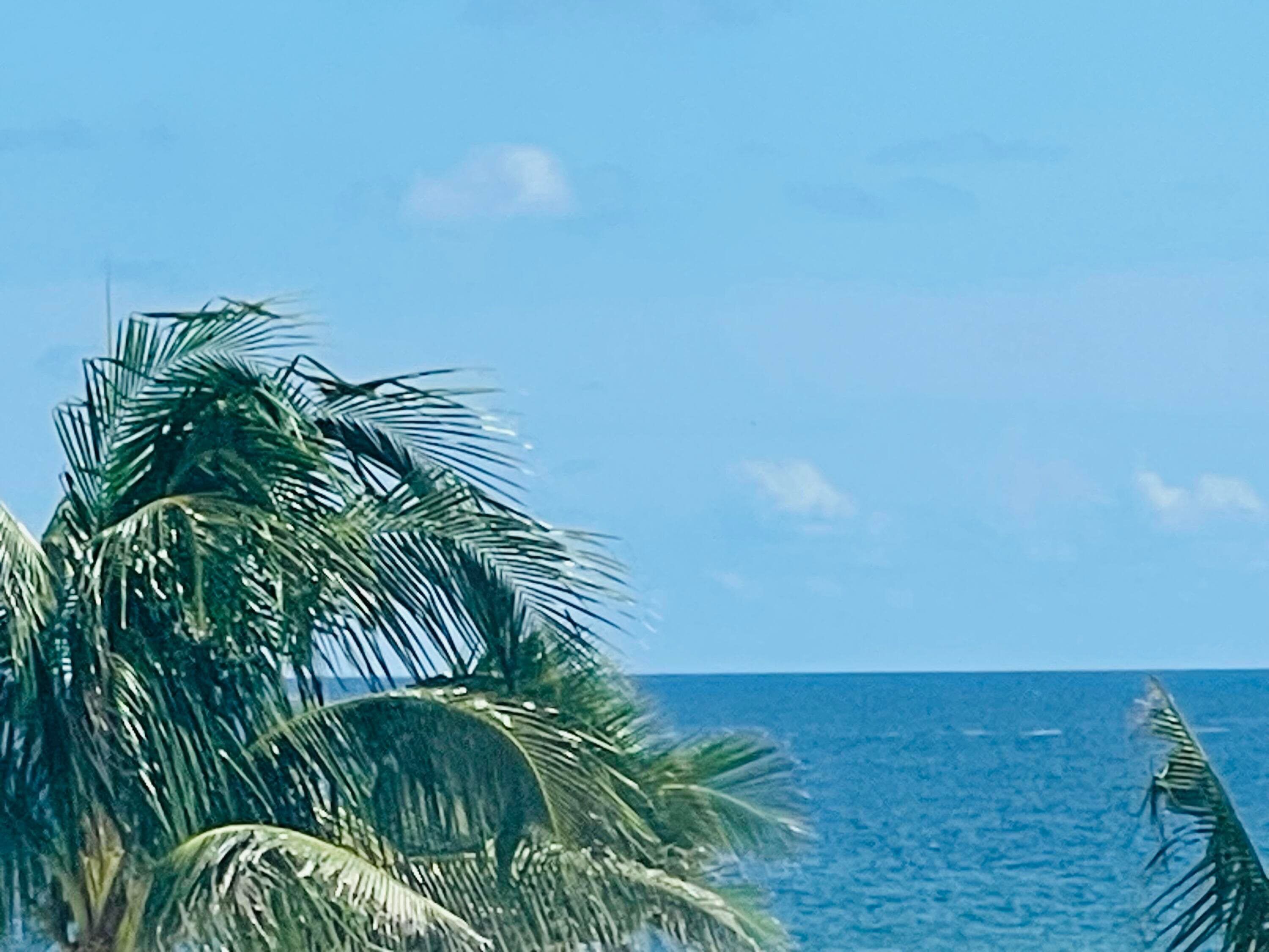 1237 Hillsboro Mile 302, Hillsboro Beach, FL 33062 10