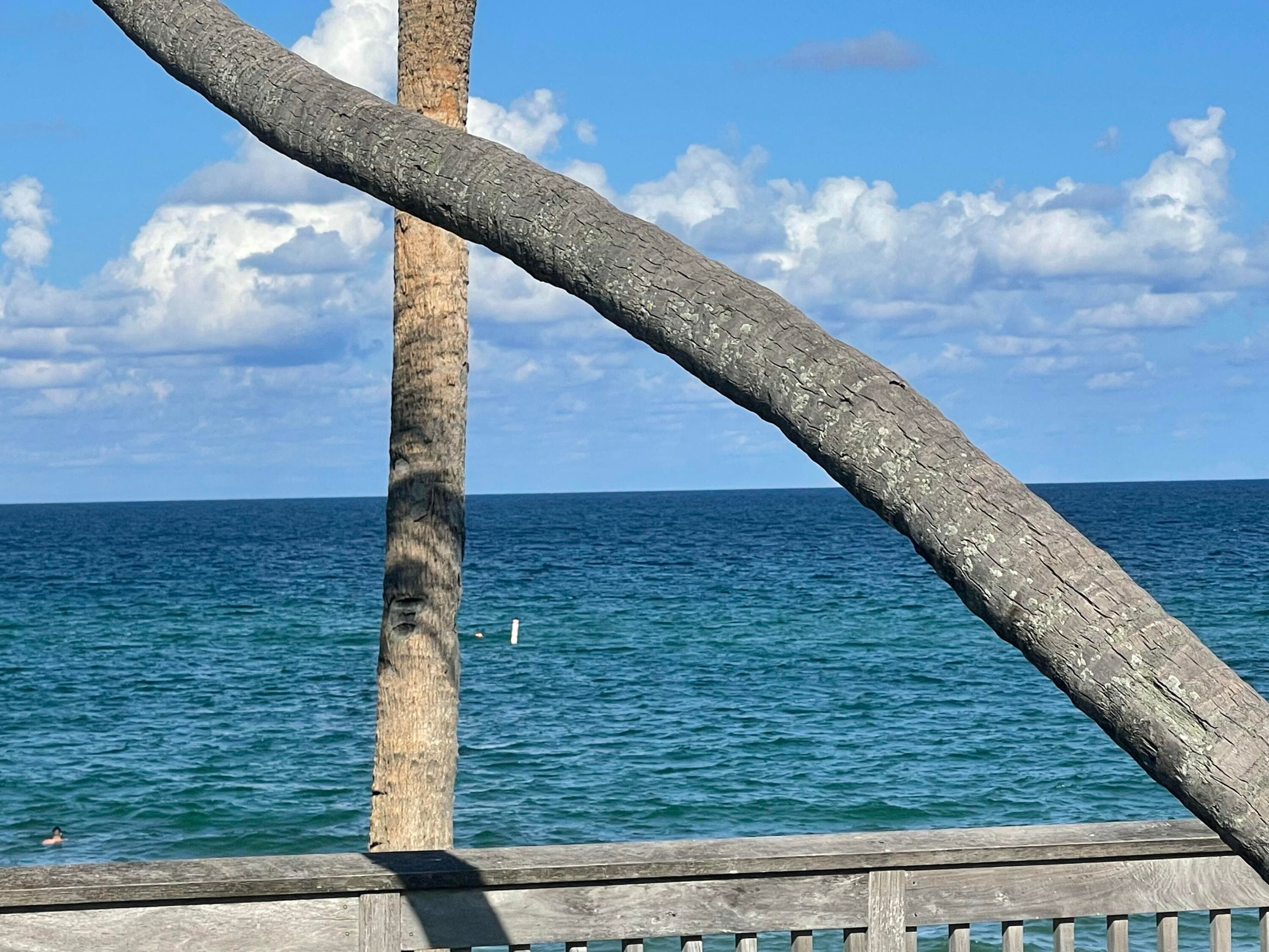 1237 Hillsboro Mile 302, Hillsboro Beach, FL 33062 104