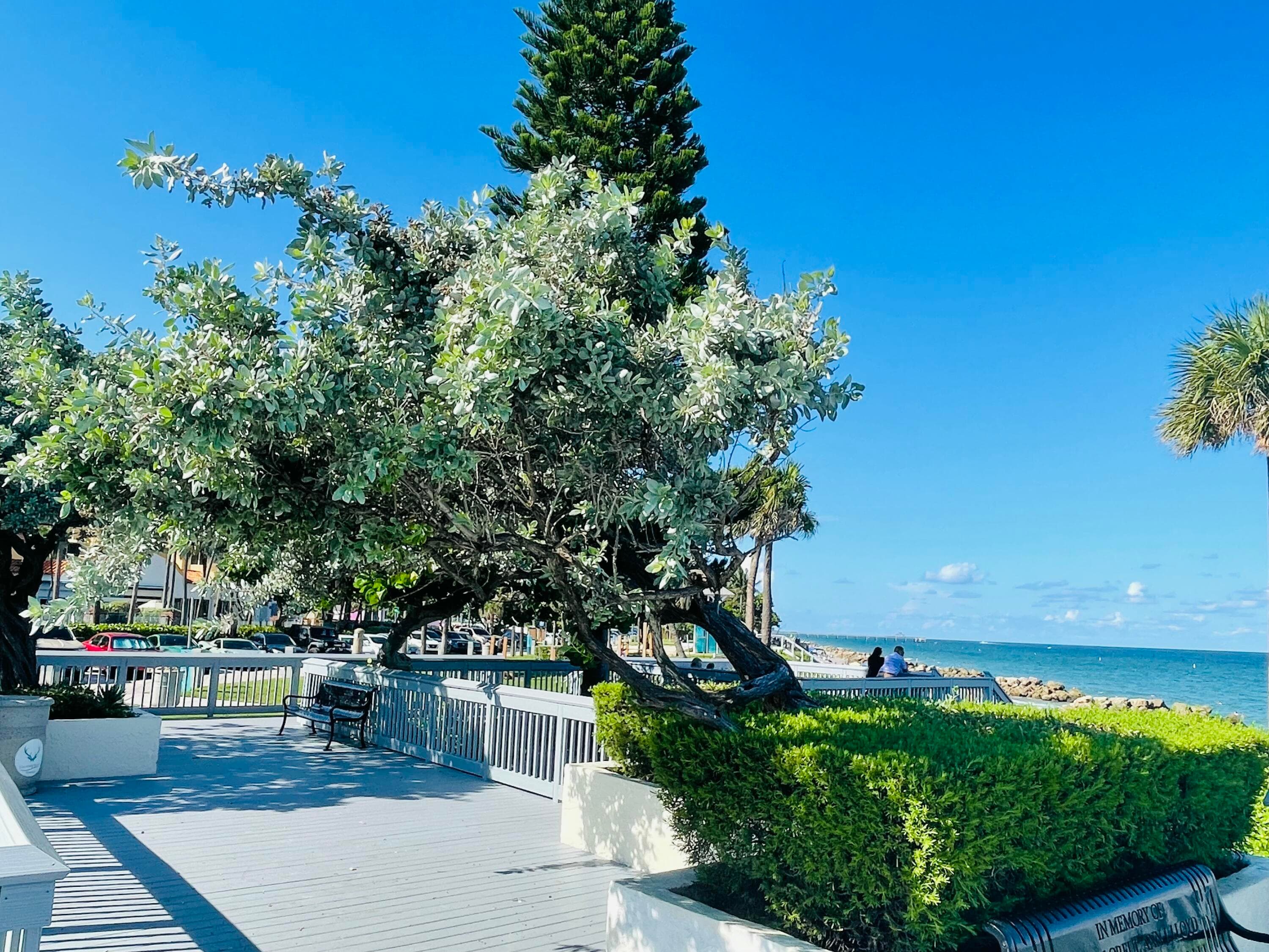 1237 Hillsboro Mile 302, Hillsboro Beach, FL 33062 105