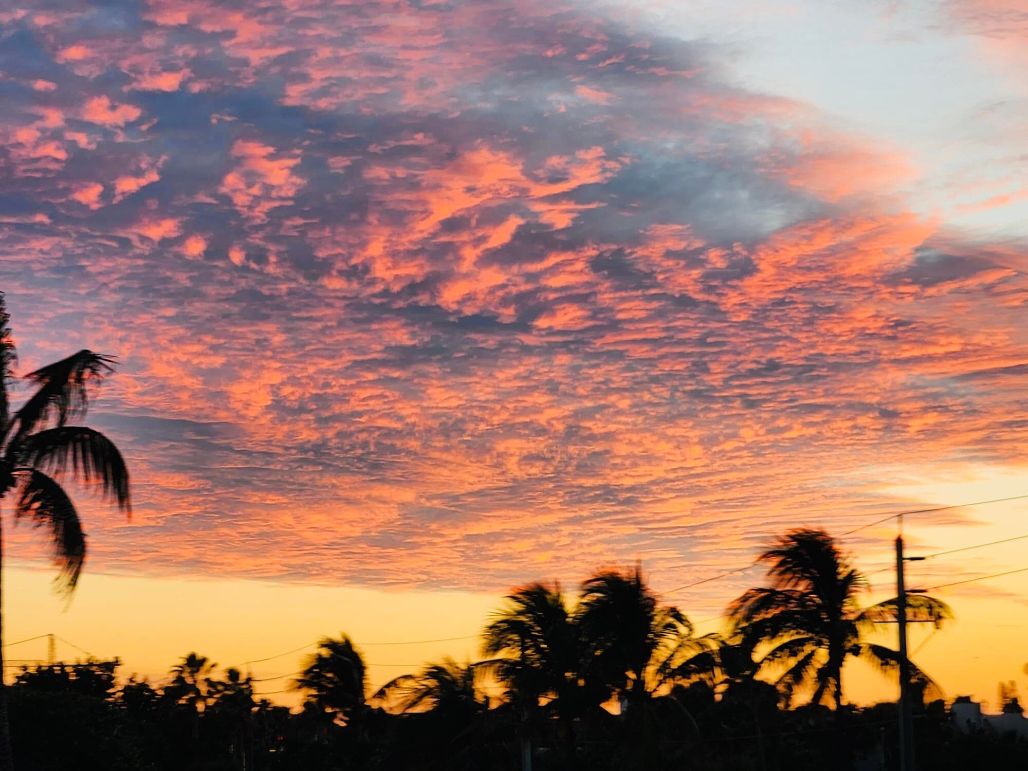 1237 Hillsboro Mile 302, Hillsboro Beach, FL 33062 112