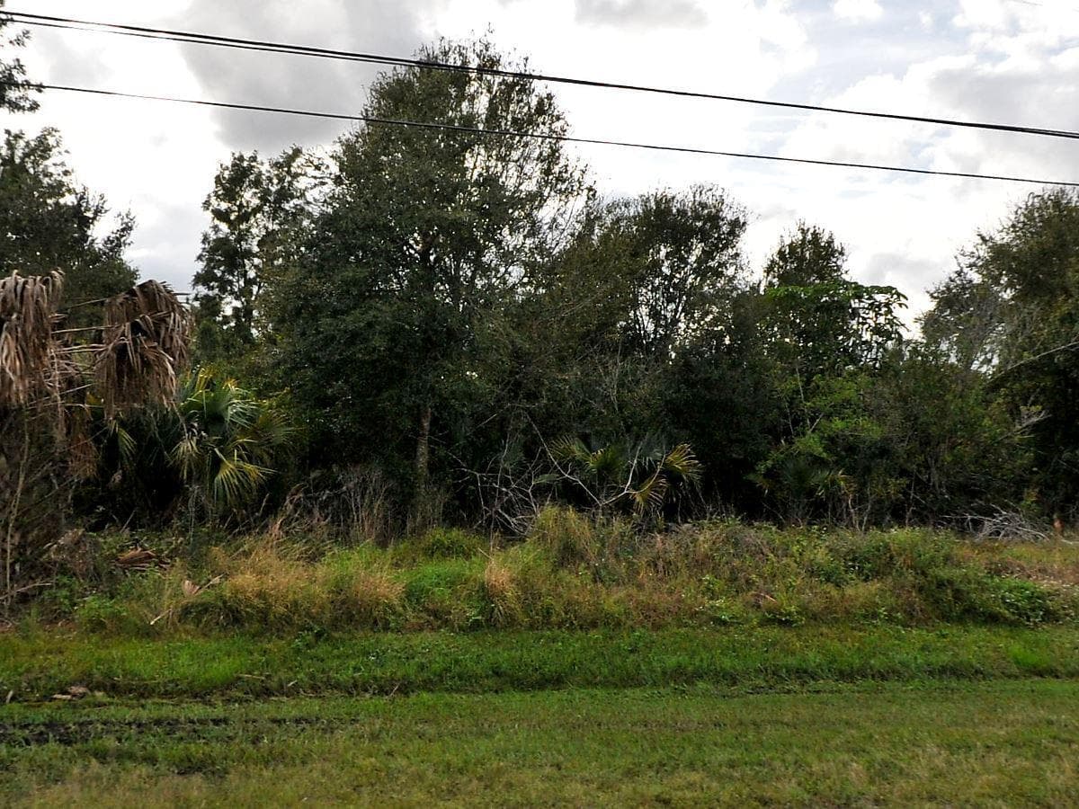 909 SW Mccall Road, Port St. Lucie, FL 34953 2