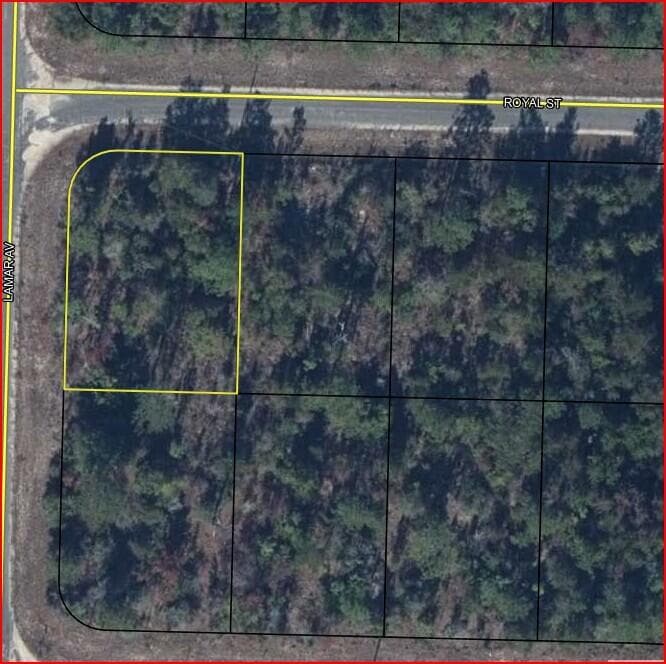 0 Royal Street Street, Chipley, FL 32428 2