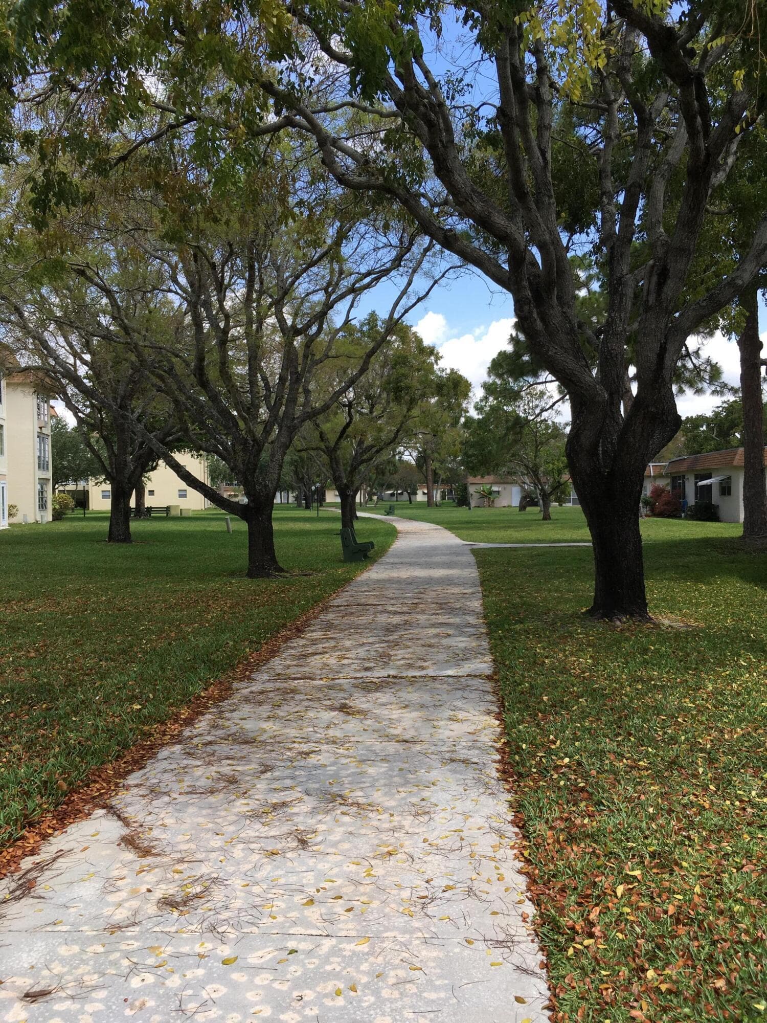 3123 SW Natura Avenue, Deerfield Beach, FL 33441 24