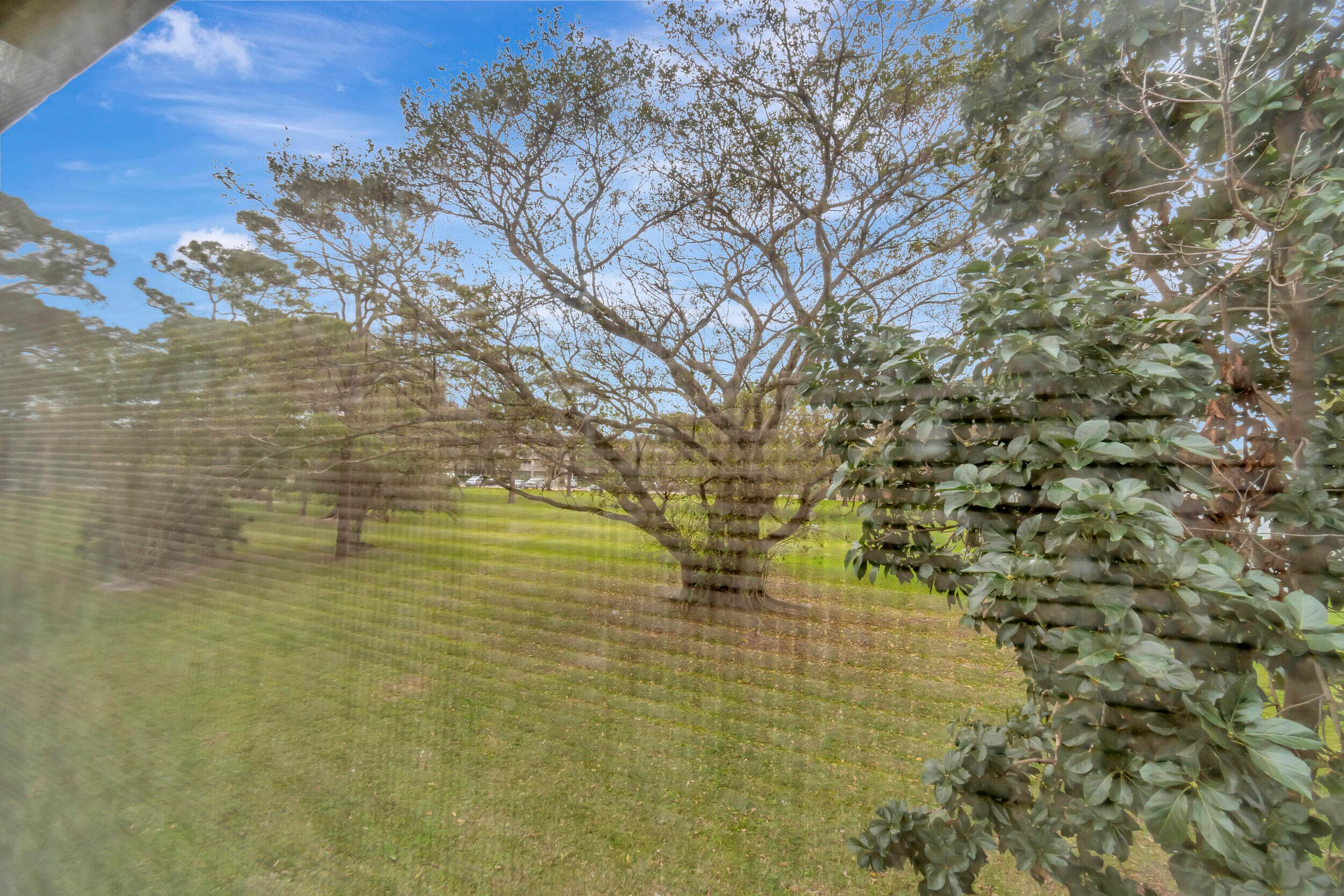 51 Ventnor C, Deerfield Beach, FL 33442 37