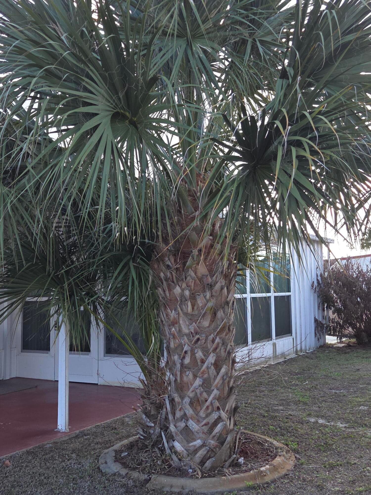 2915 Roger Street, Sebring, FL 33872 27
