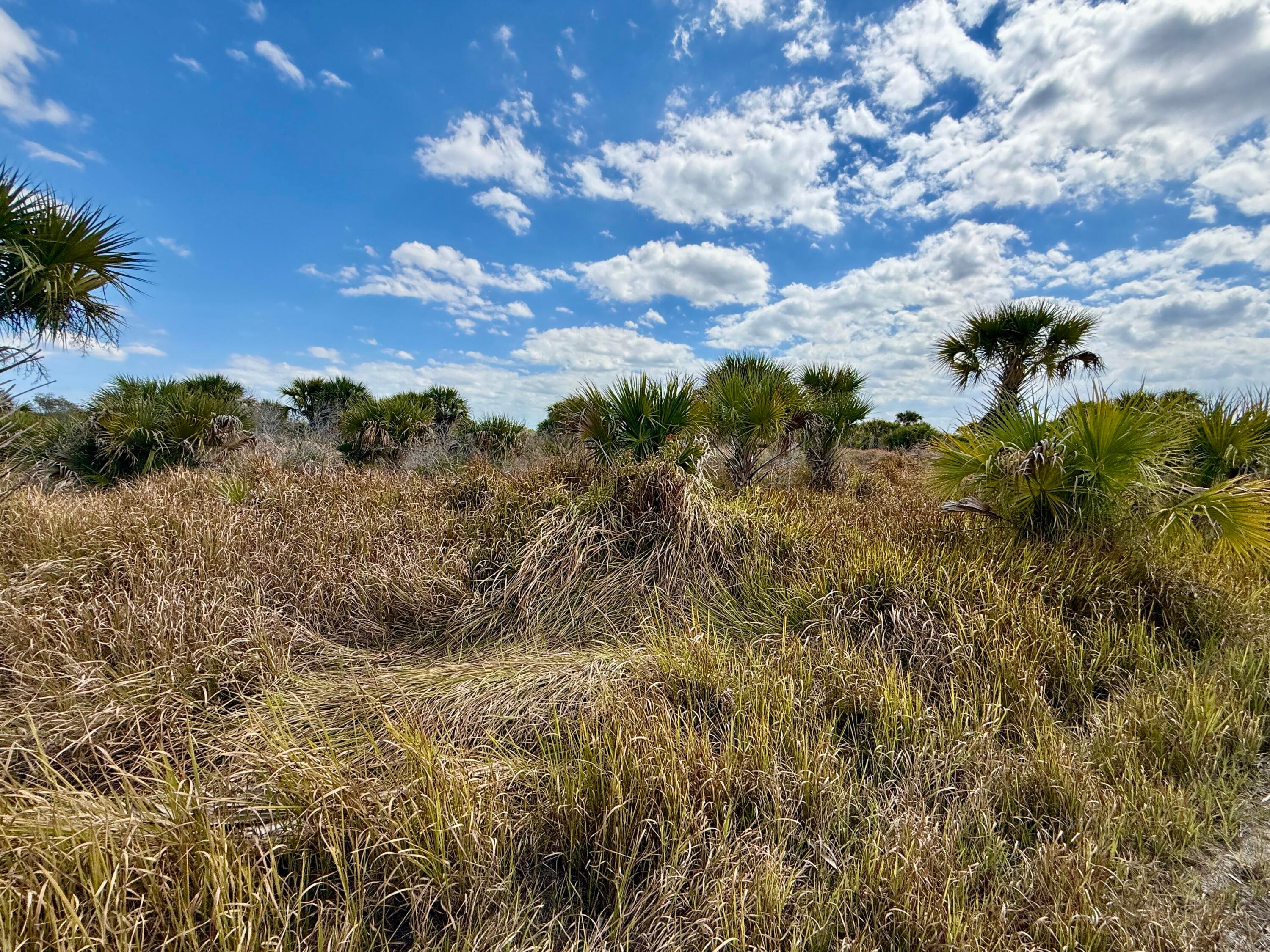1909 Comer Terrace SW, Palm Bay, FL 32908