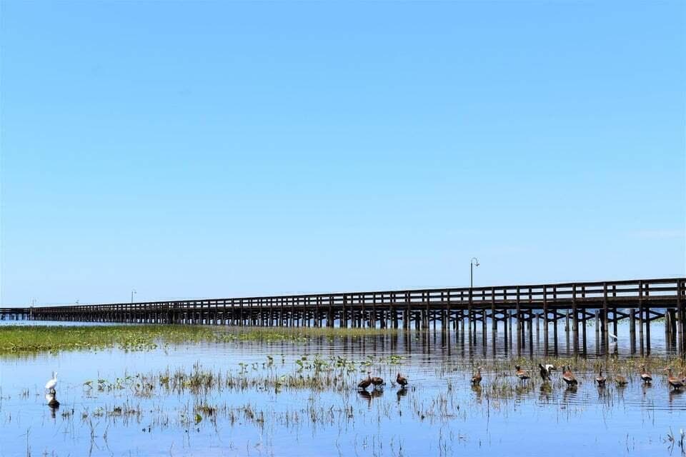 Tbd Azalea Drive, Indian Lake Estates, FL 33855 10
