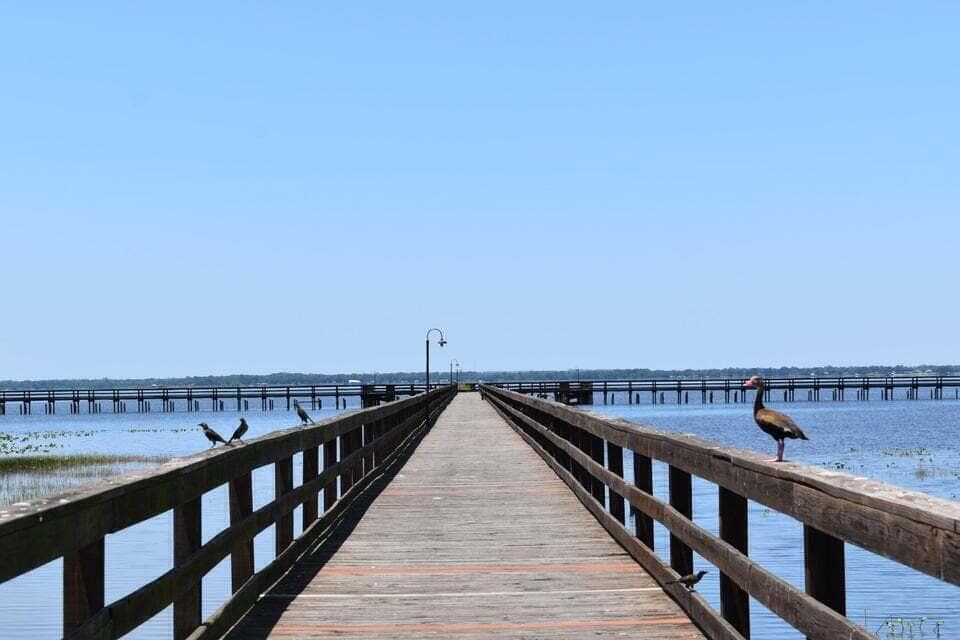 Tbd Azalea Drive, Indian Lake Estates, FL 33855 9