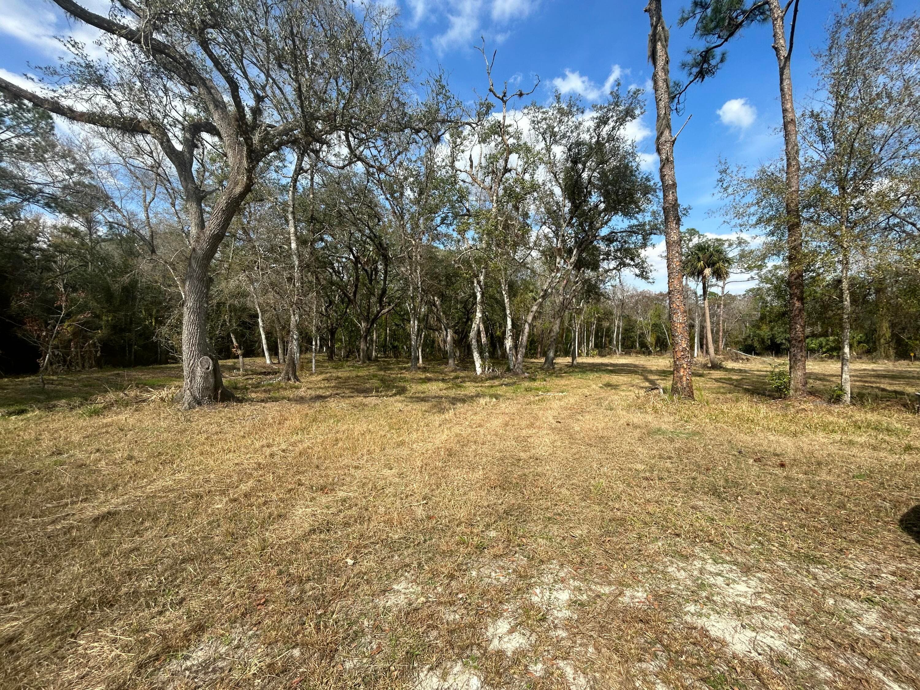 855 NW 368th Drive, Okeechobee, FL 34972 3