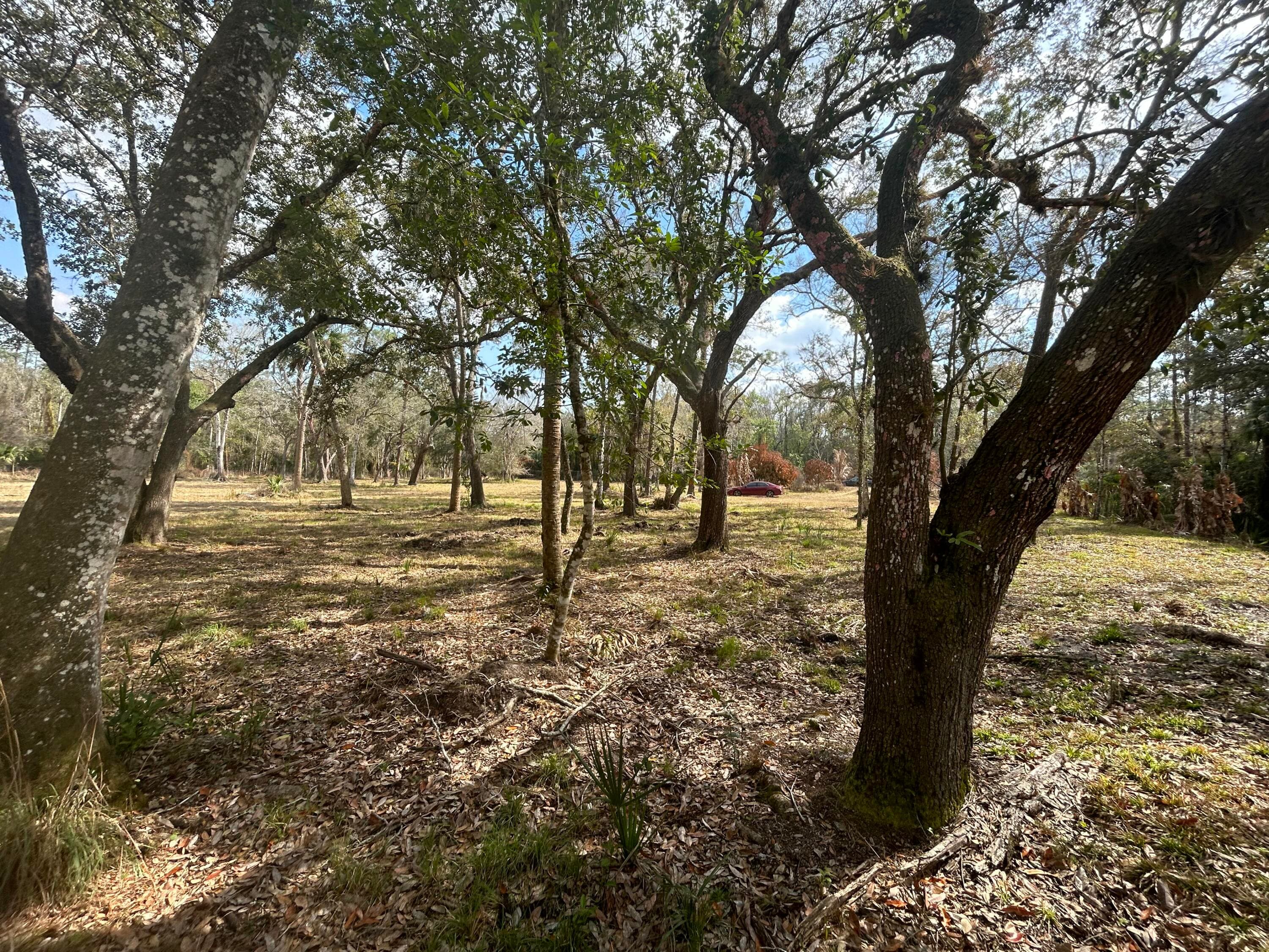 855 NW 368th Drive, Okeechobee, FL 34972 5