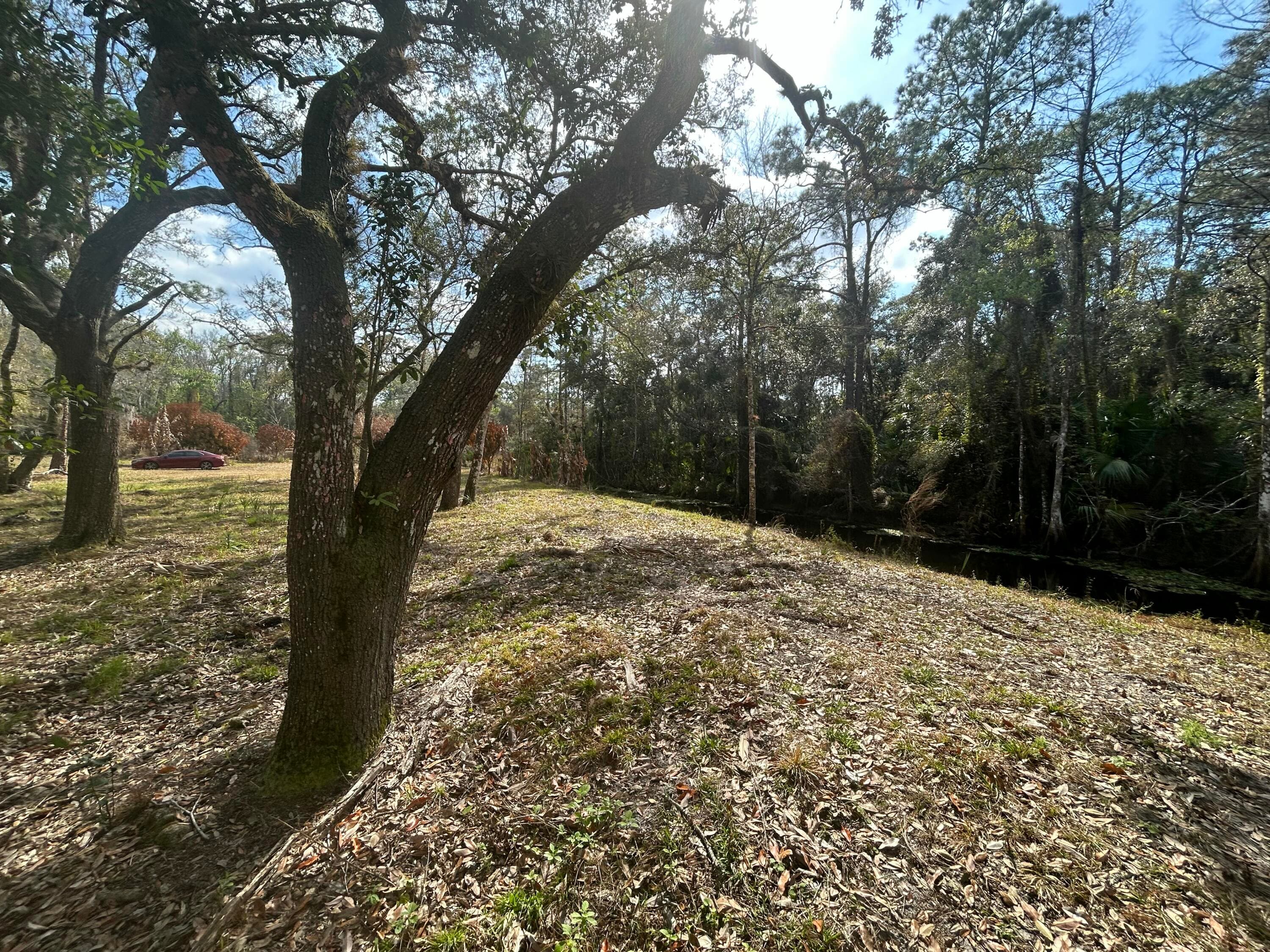 855 NW 368th Drive, Okeechobee, FL 34972 6