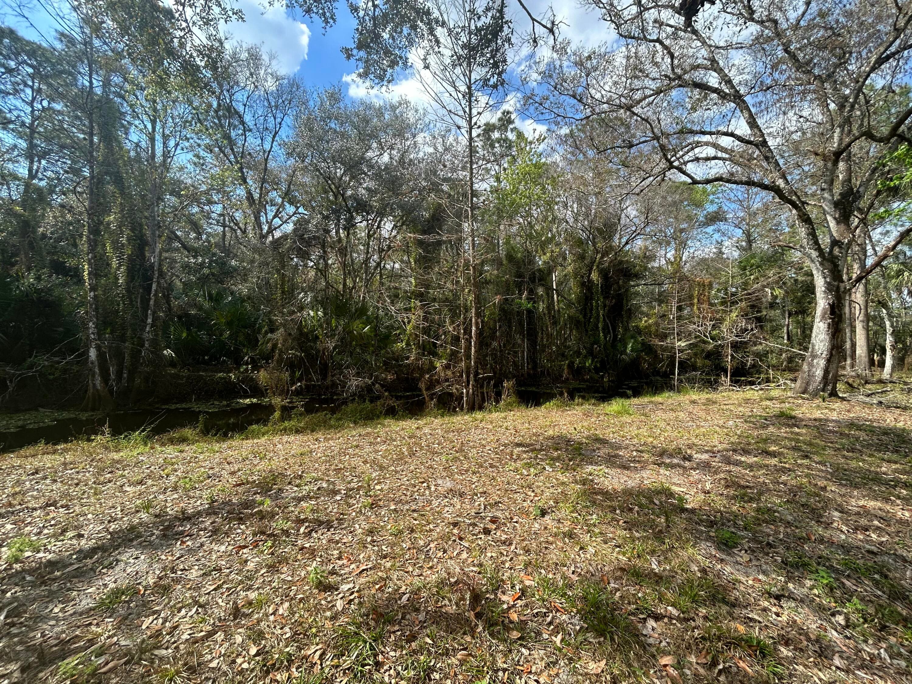 855 NW 368th Drive, Okeechobee, FL 34972 7