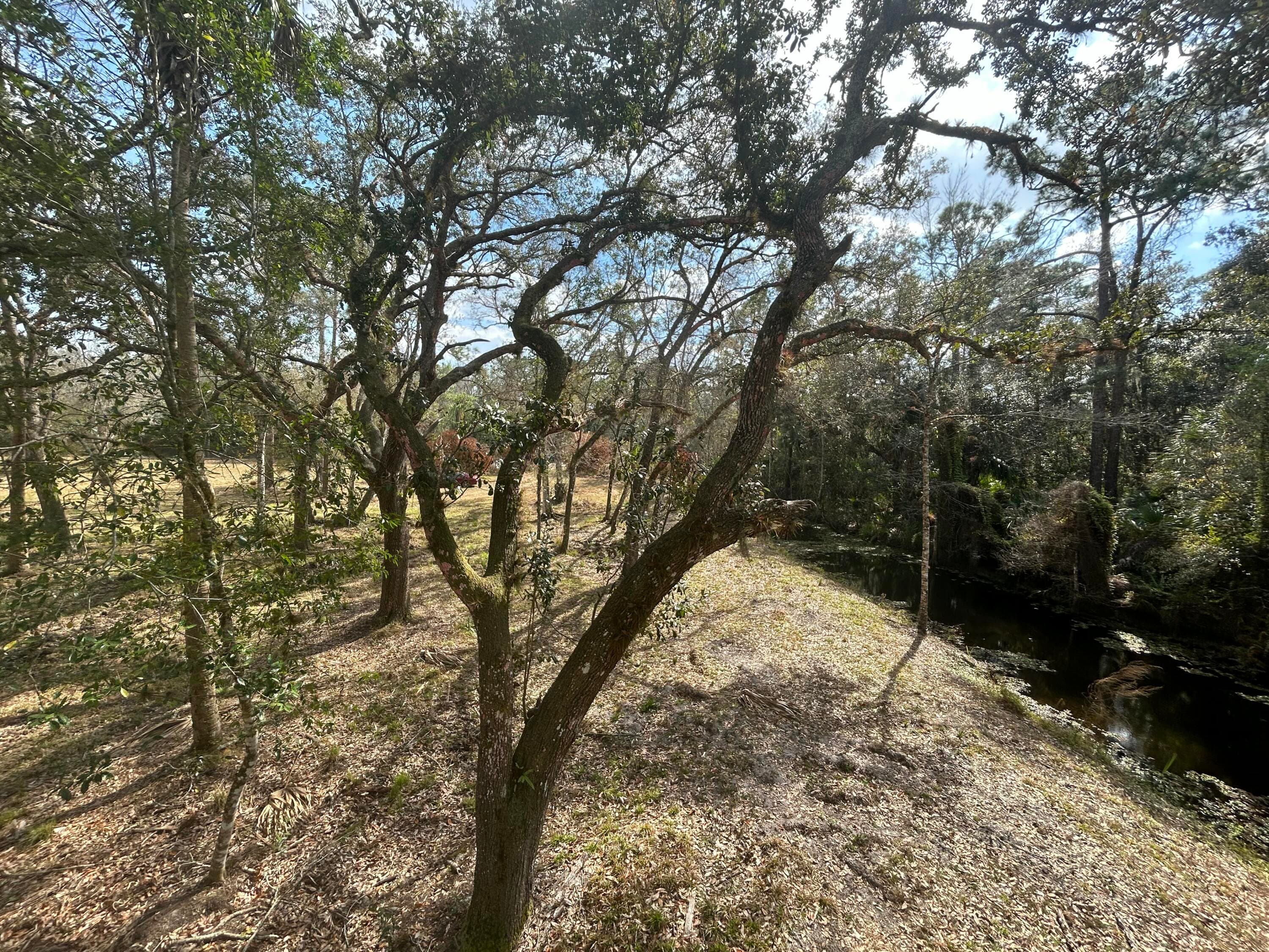 855 NW 368th Drive, Okeechobee, FL 34972 8