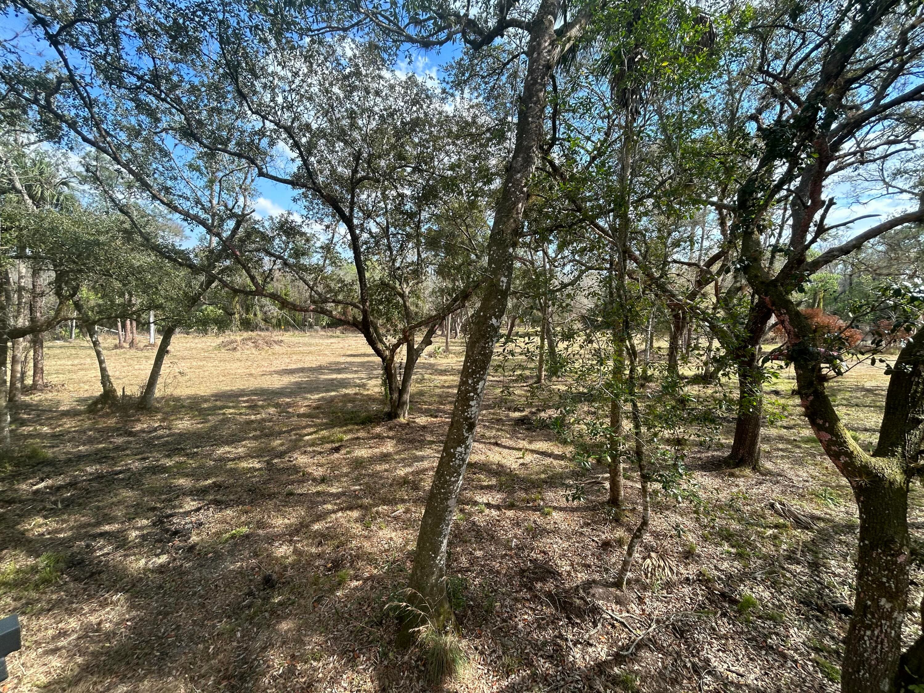 855 NW 368th Drive, Okeechobee, FL 34972 13