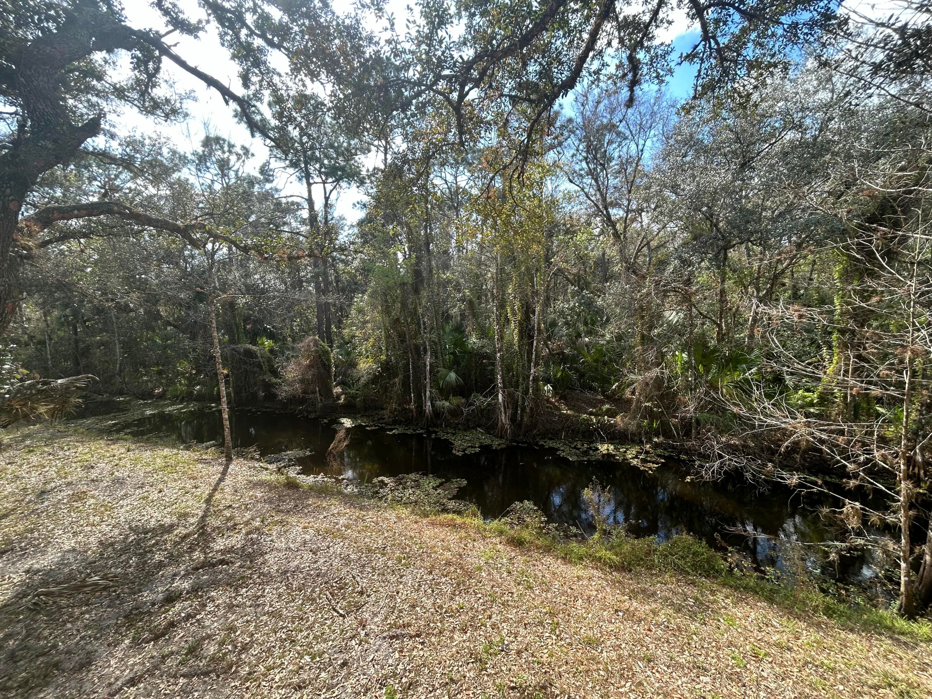 855 NW 368th Drive, Okeechobee, FL 34972 9