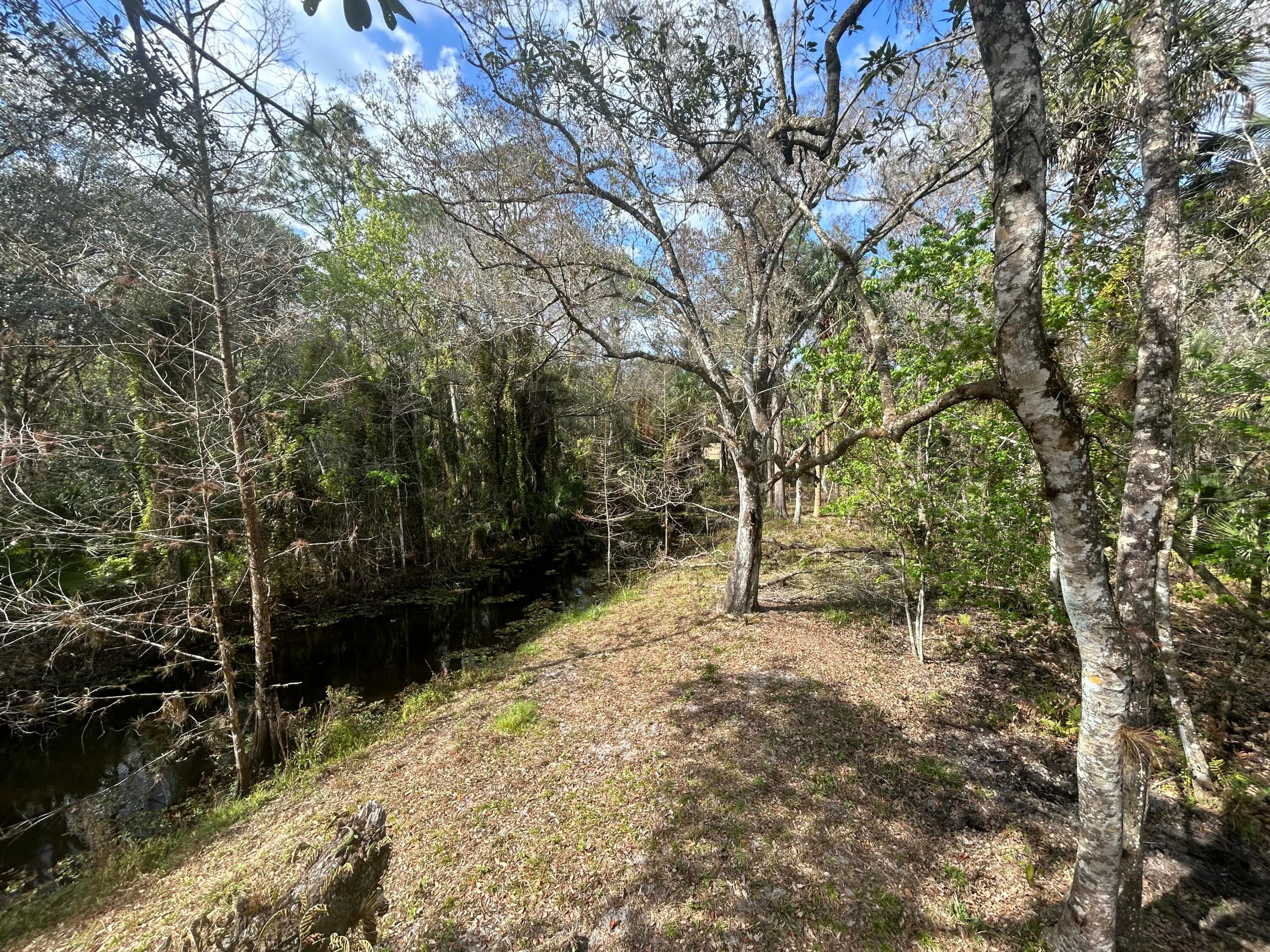 855 NW 368th Drive, Okeechobee, FL 34972 10