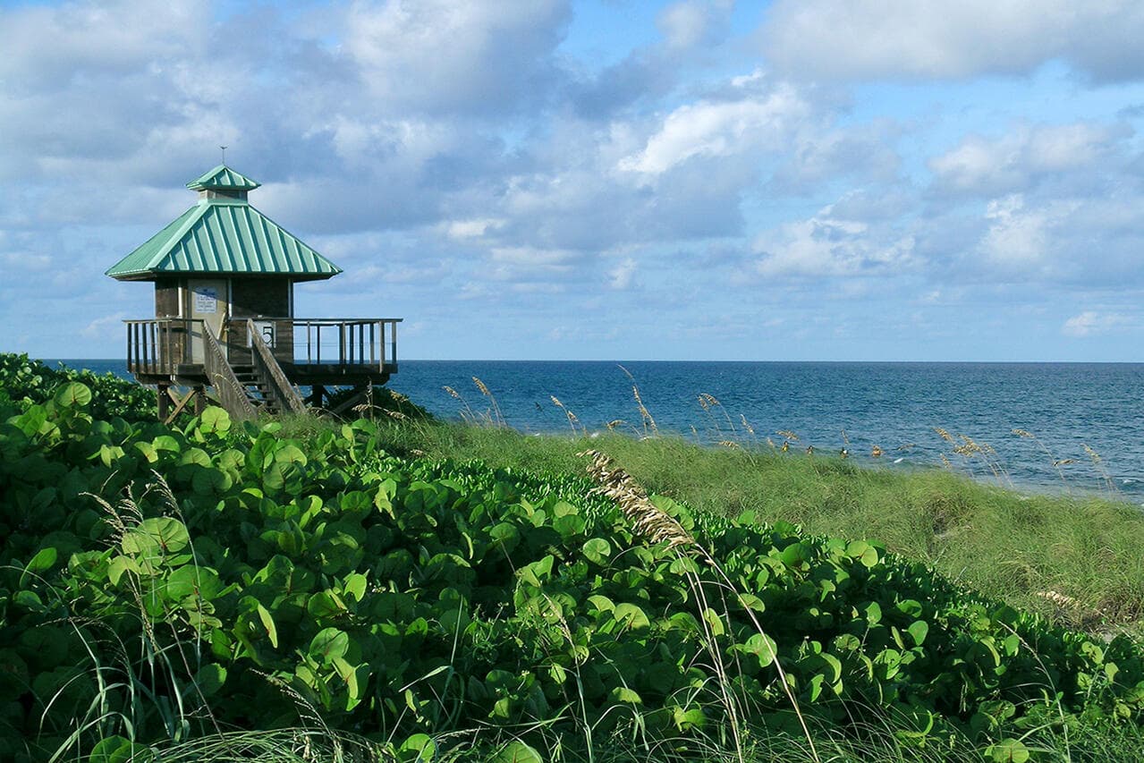 500 SE Mizner Boulevard A310, Boca Raton, FL 33432 73