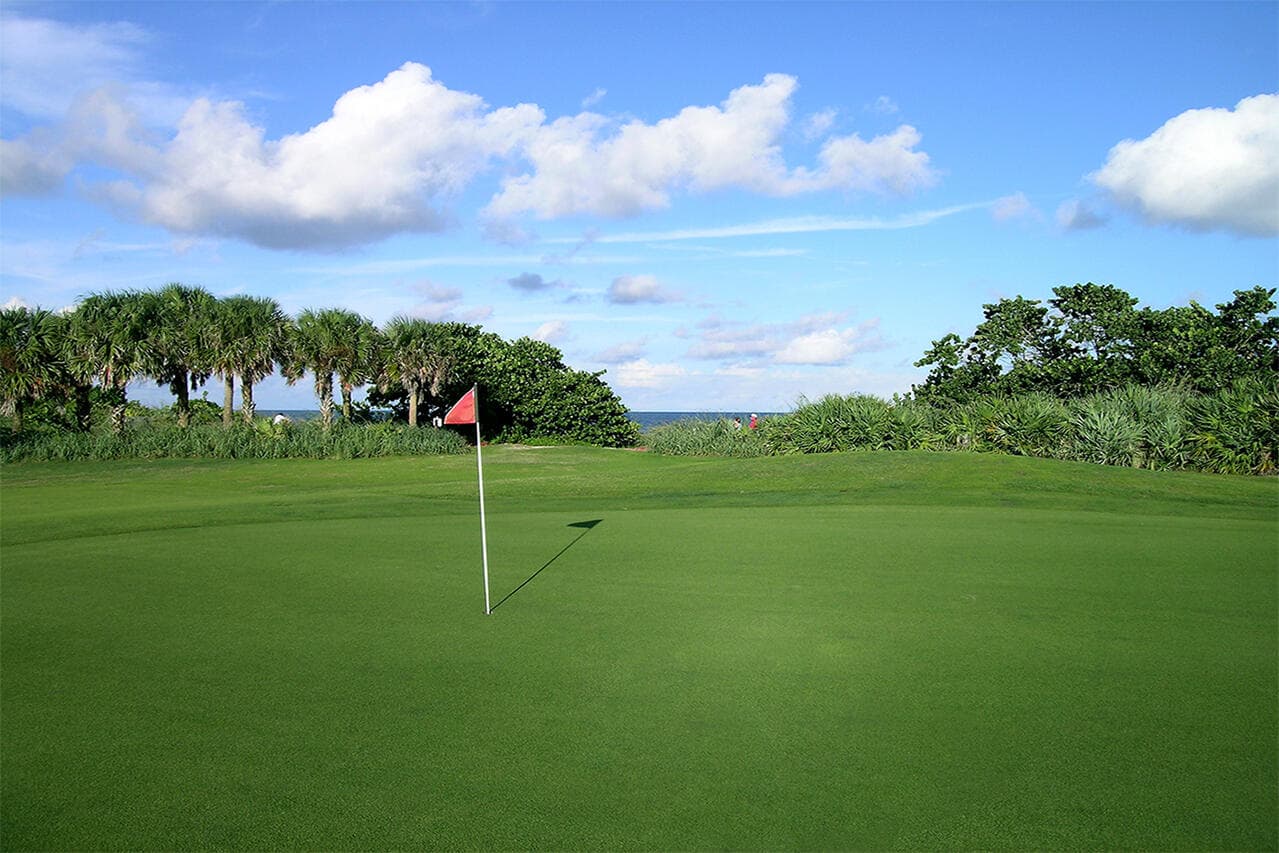 500 SE Mizner Boulevard A310, Boca Raton, FL 33432 75