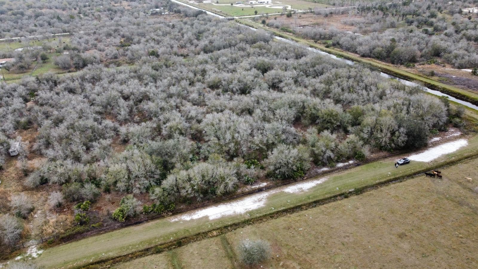 15839 NW 252nd Street, Okeechobee, FL 34972 2