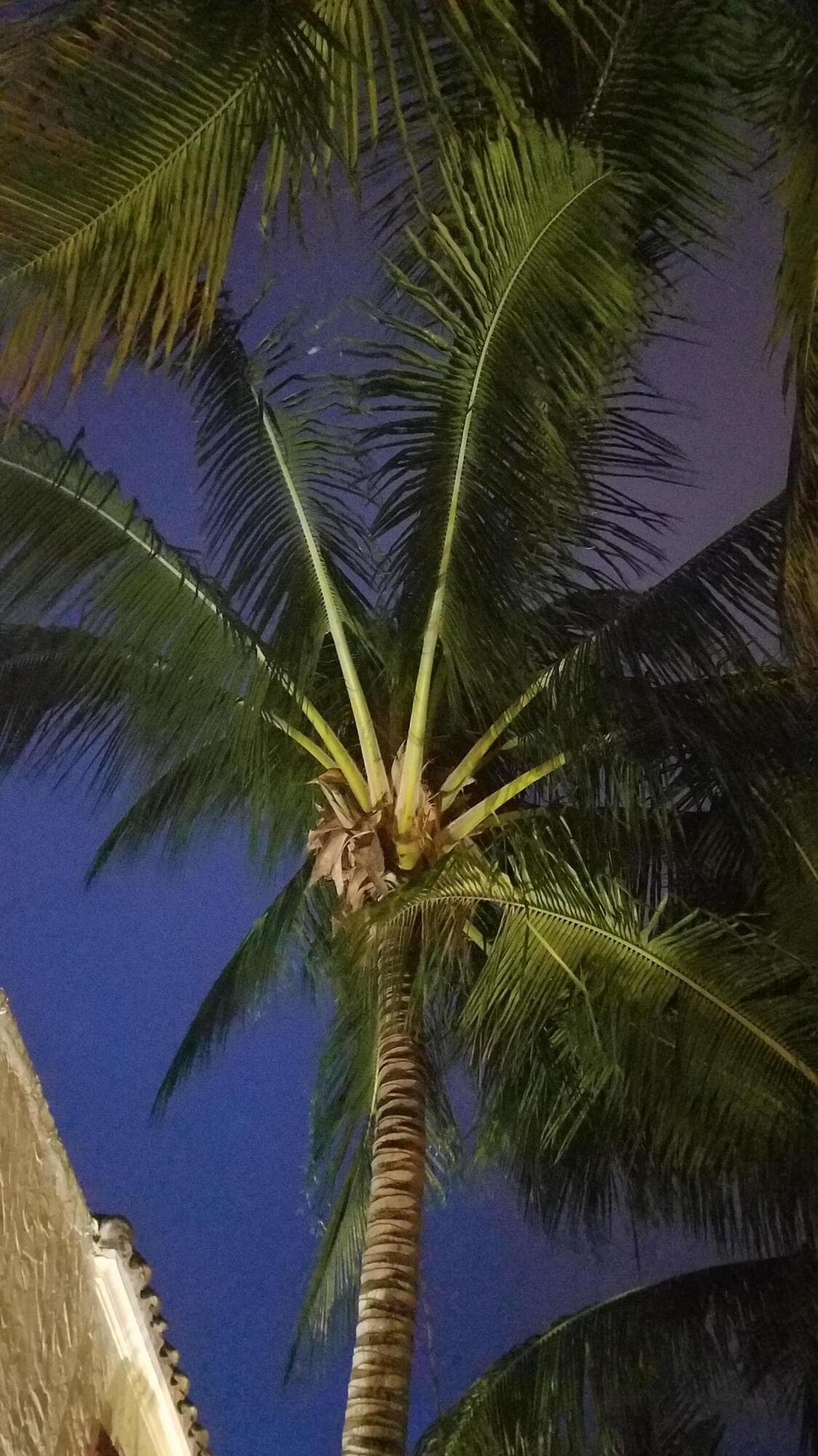 226 NE 1st Avenue Key Lime Suite, Delray Beach, FL 33444 43
