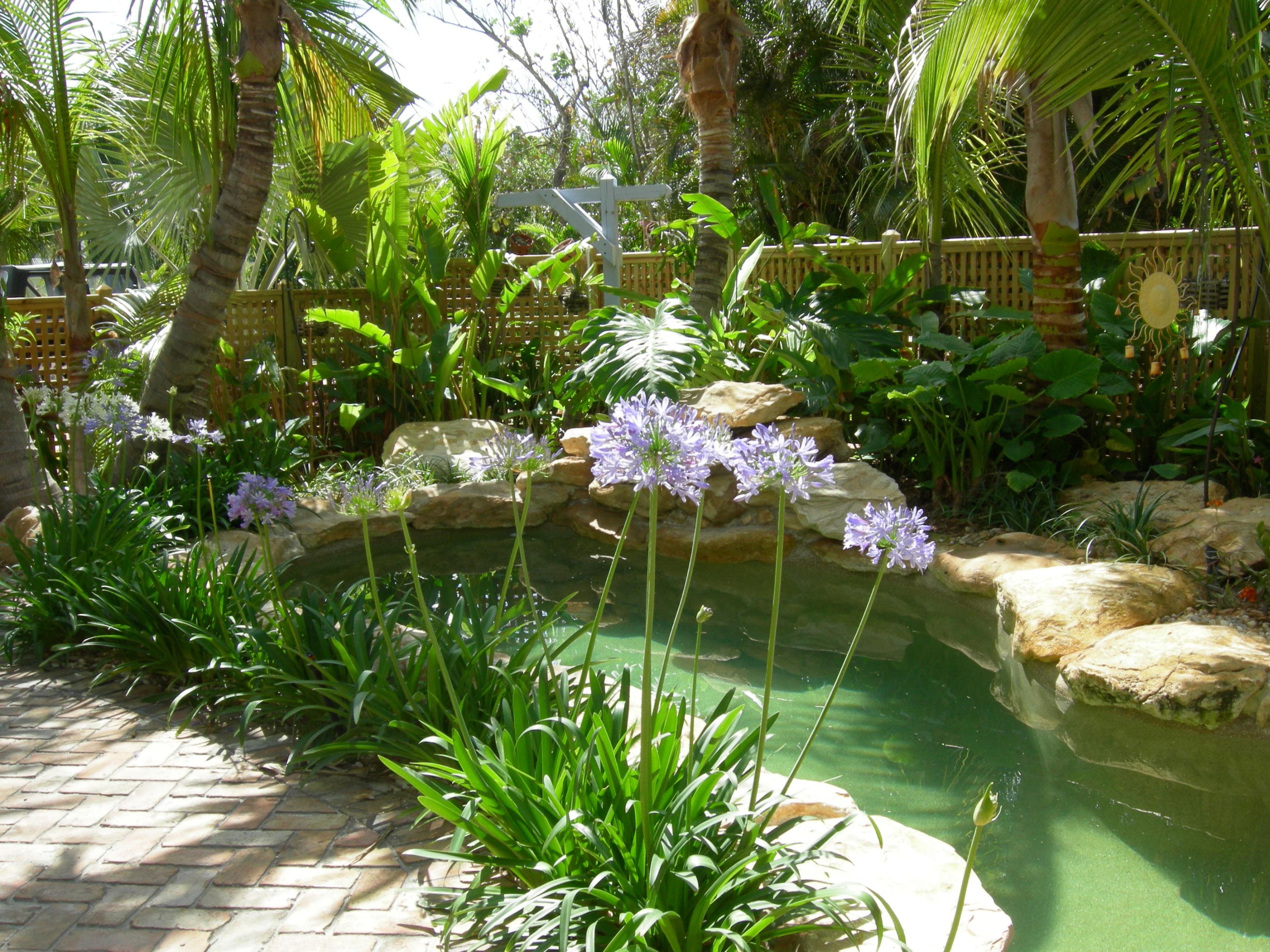 226 NE 1st Avenue Coco Palm Ste, Delray Beach, FL 33444 41