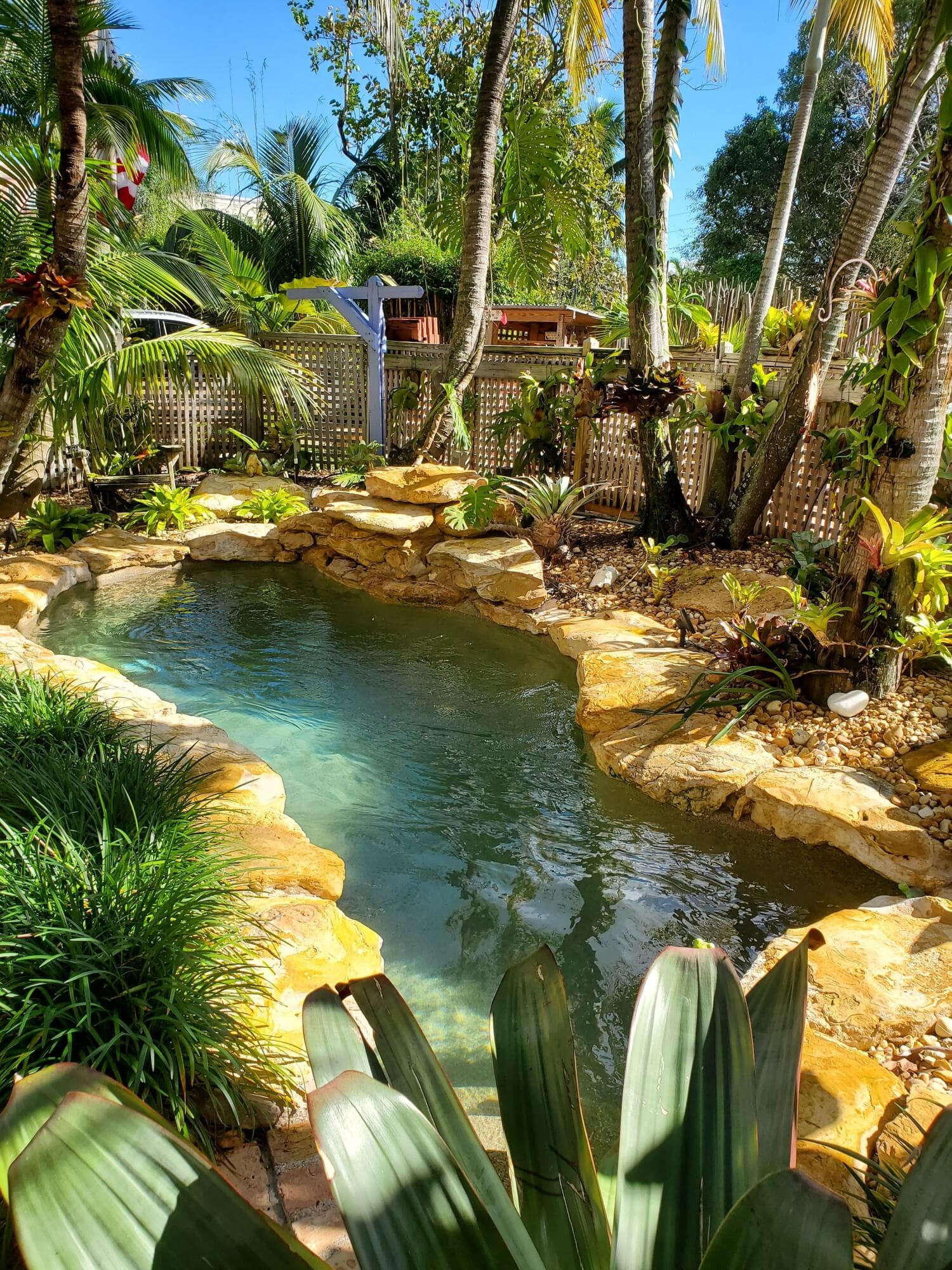 226 NE 1st Avenue Coco Palm Ste, Delray Beach, FL 33444 43