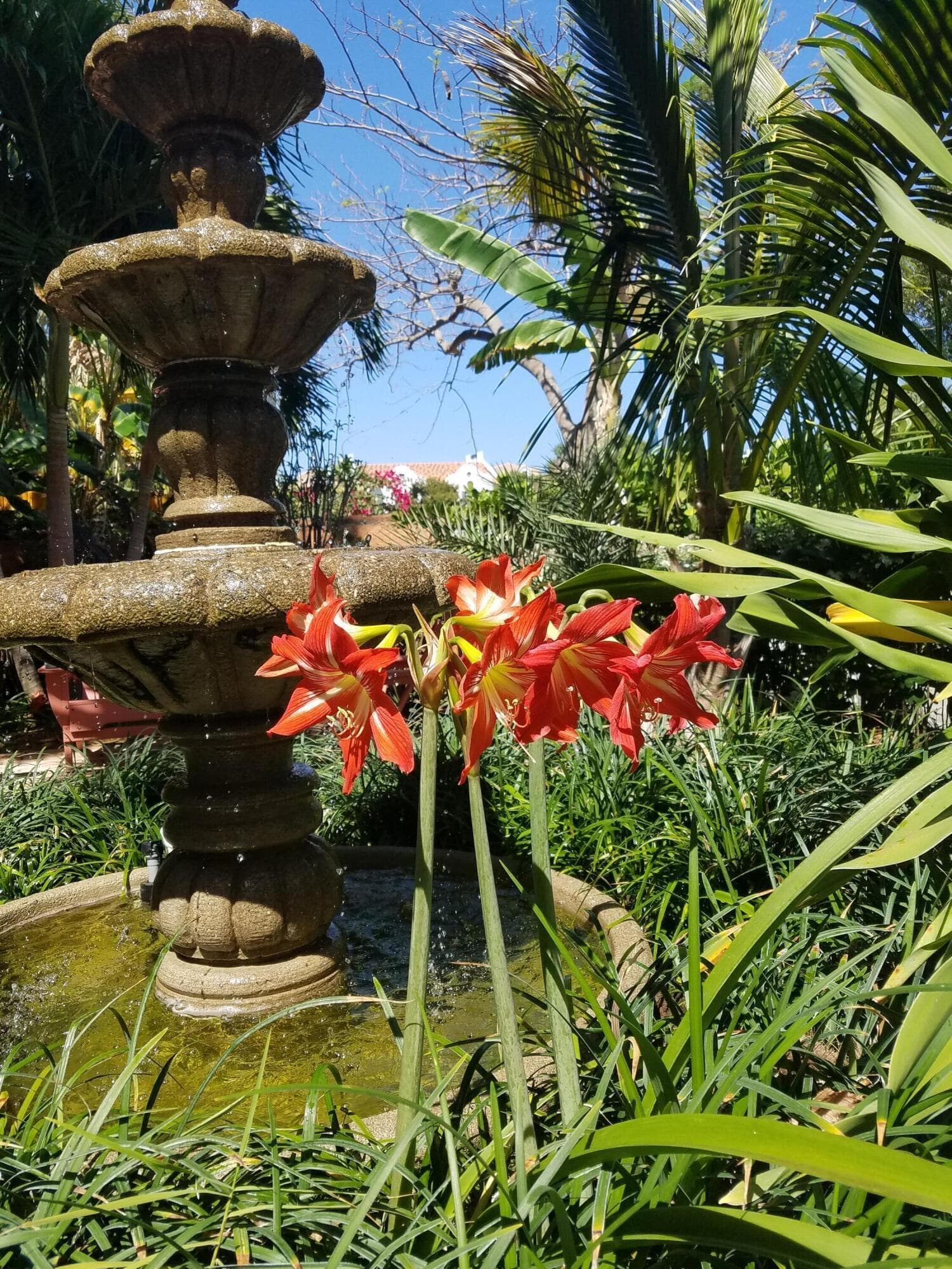 226 NE 1st Avenue Coco Palm Ste, Delray Beach, FL 33444 63