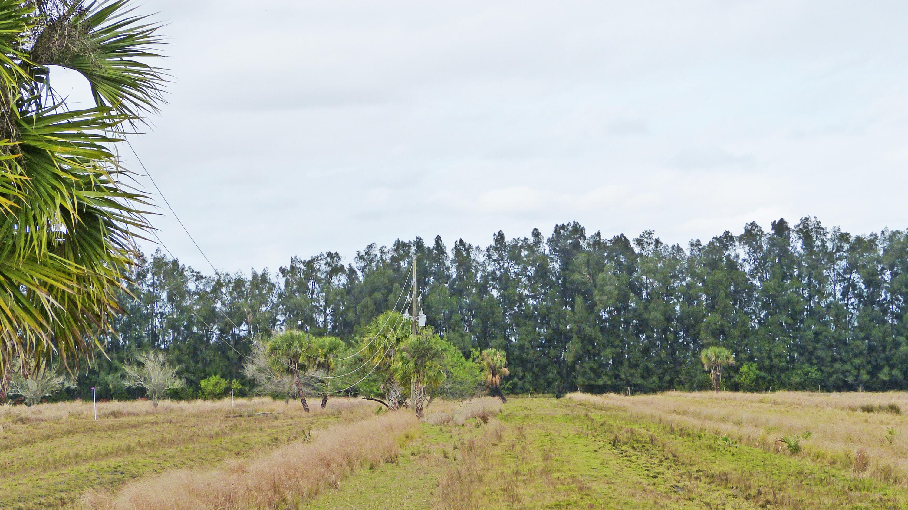 Tbd S Header Canal Road, Fort Pierce, FL 34945 5